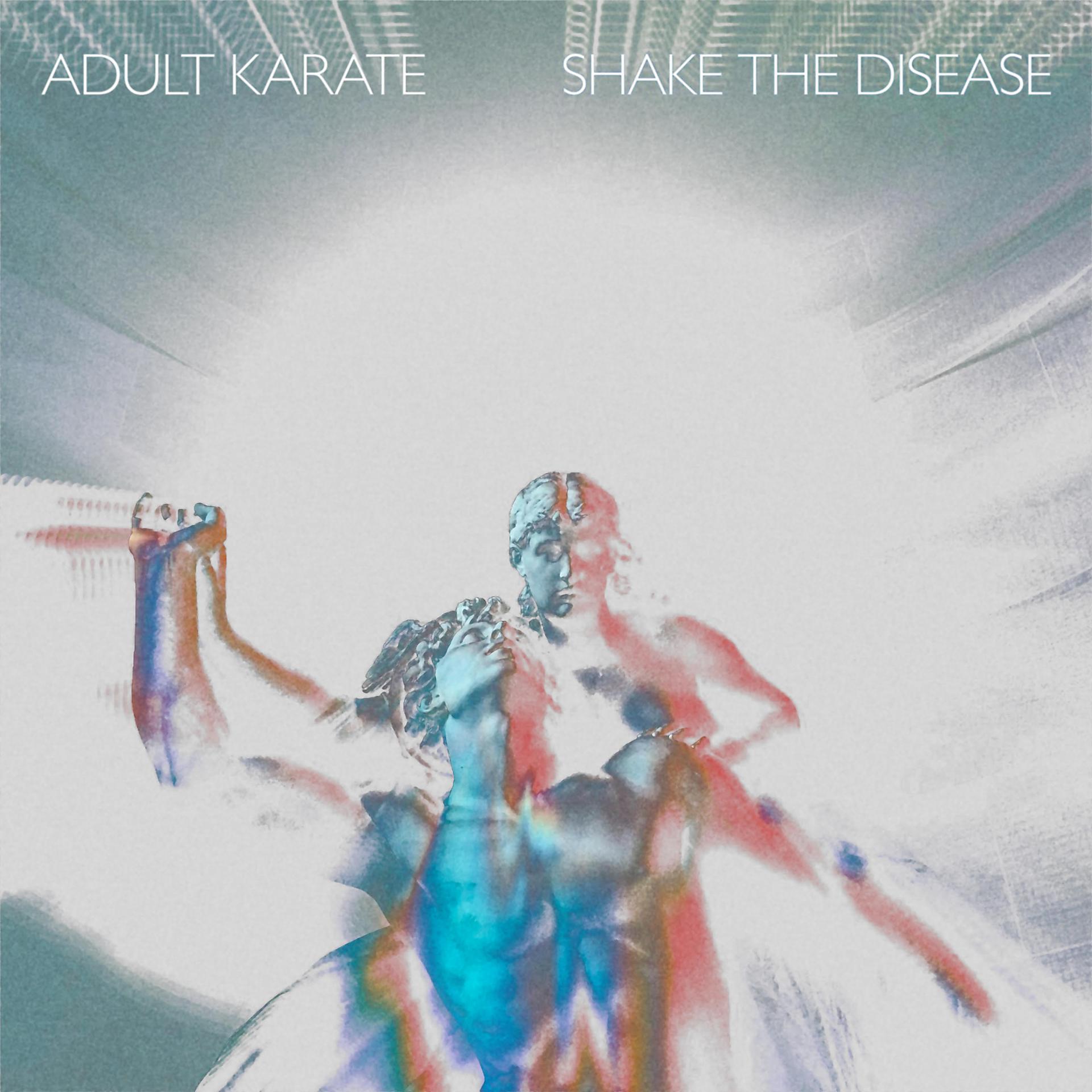 Постер альбома Shake The Disease