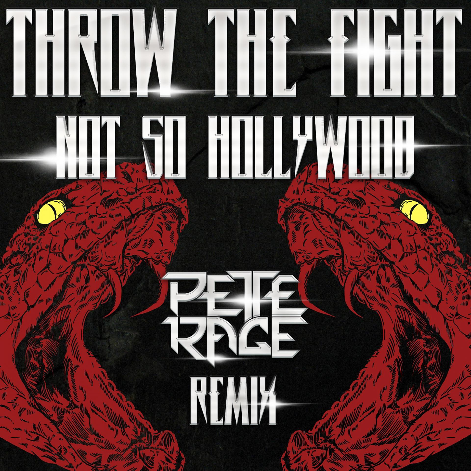 Постер альбома Not so Hollywood (Pete Rage Remix)