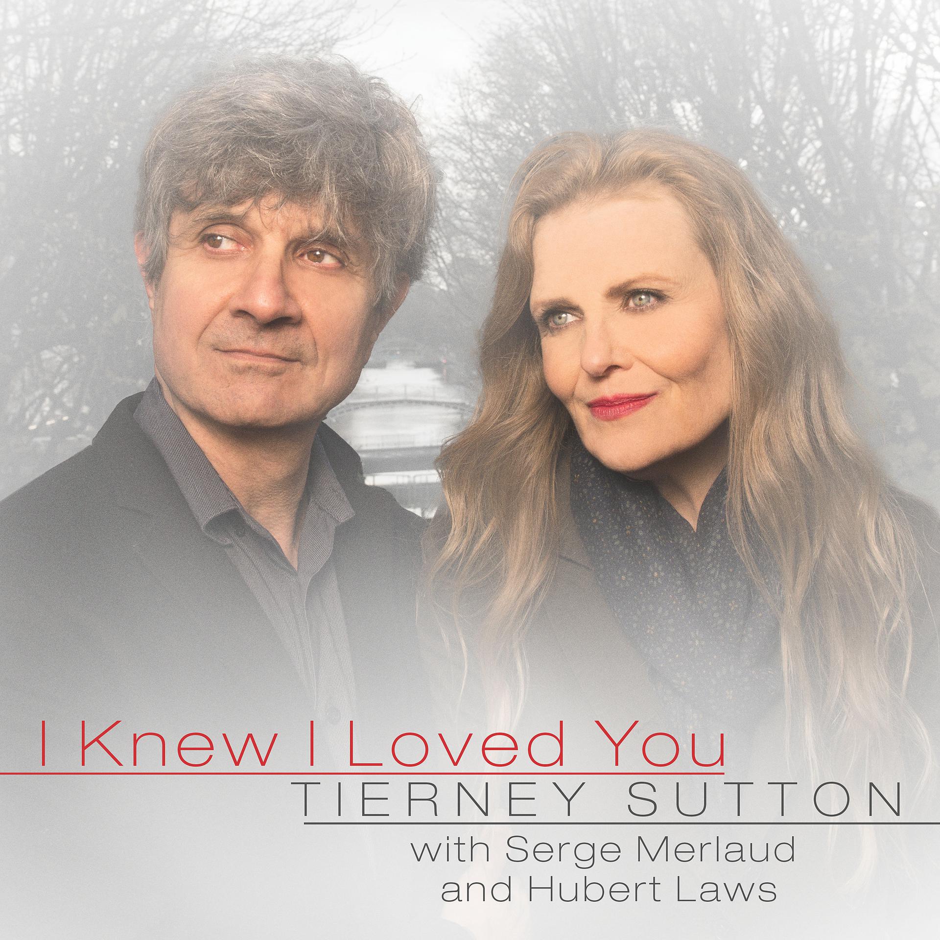 Постер альбома I Knew I Loved You (feat. Serge Merlaud & Hubert Laws)