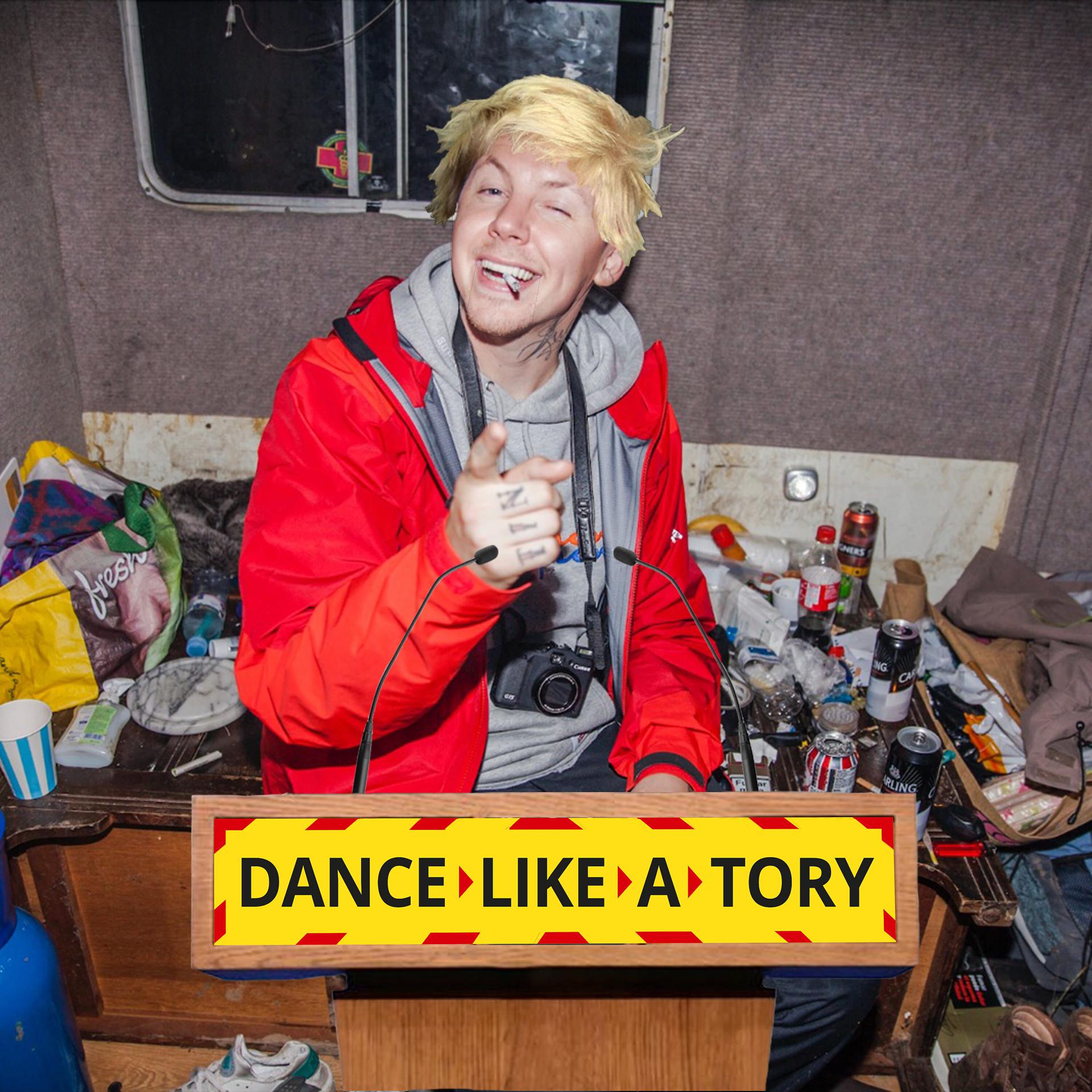 Постер альбома Dance Like a Tory