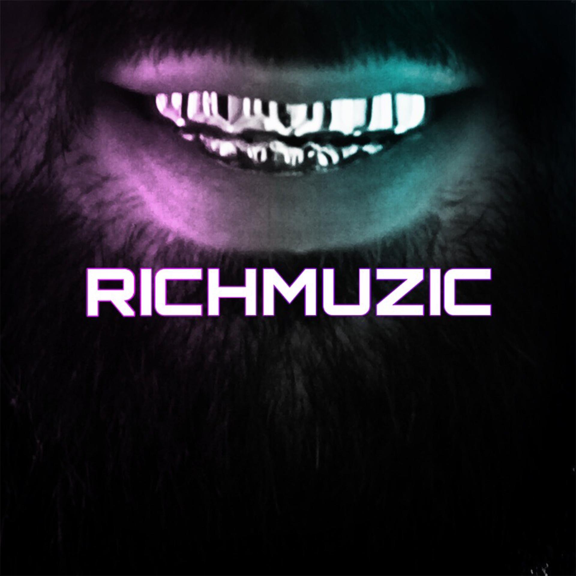 Постер альбома Richmuzic