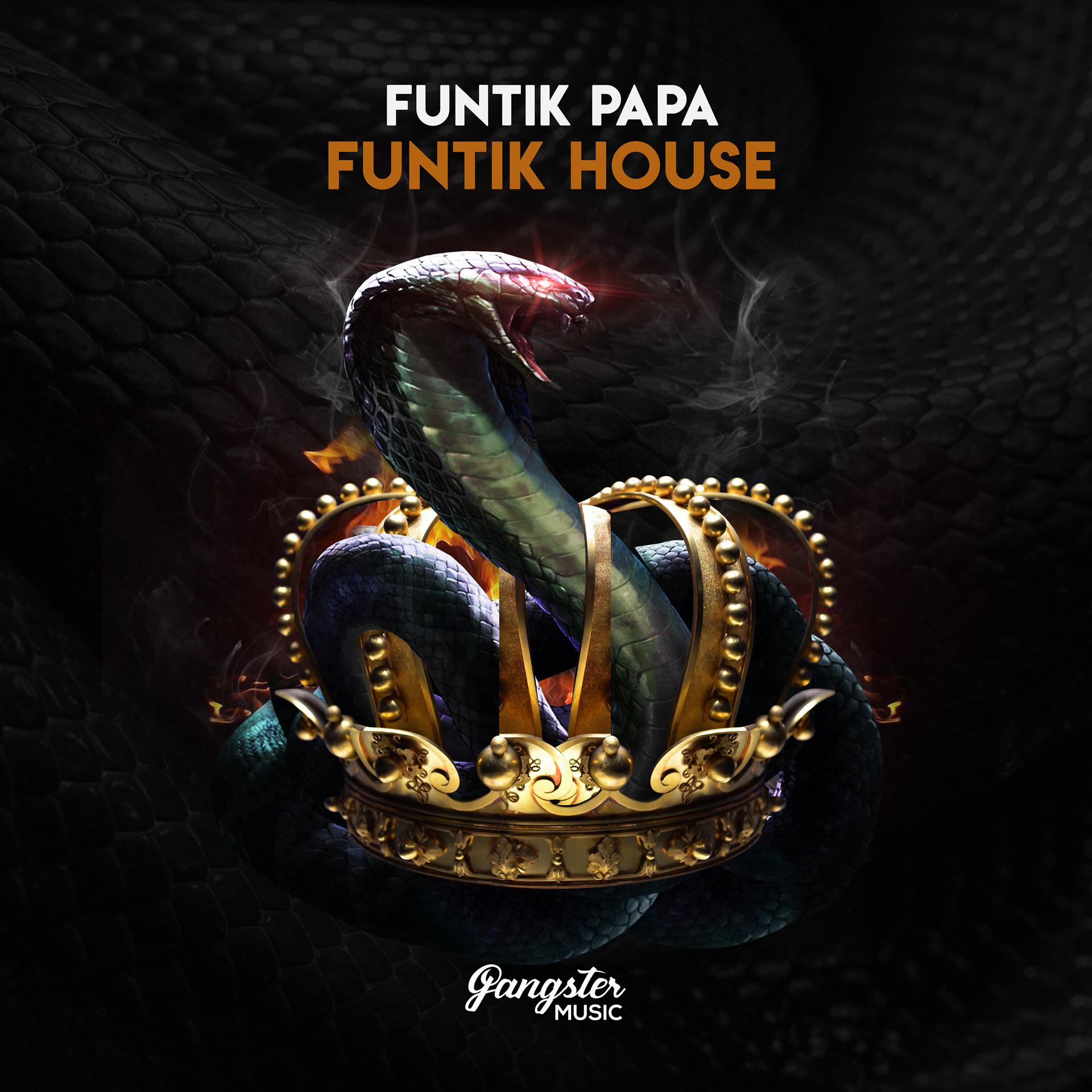 Постер альбома FUNTIK HOUSE