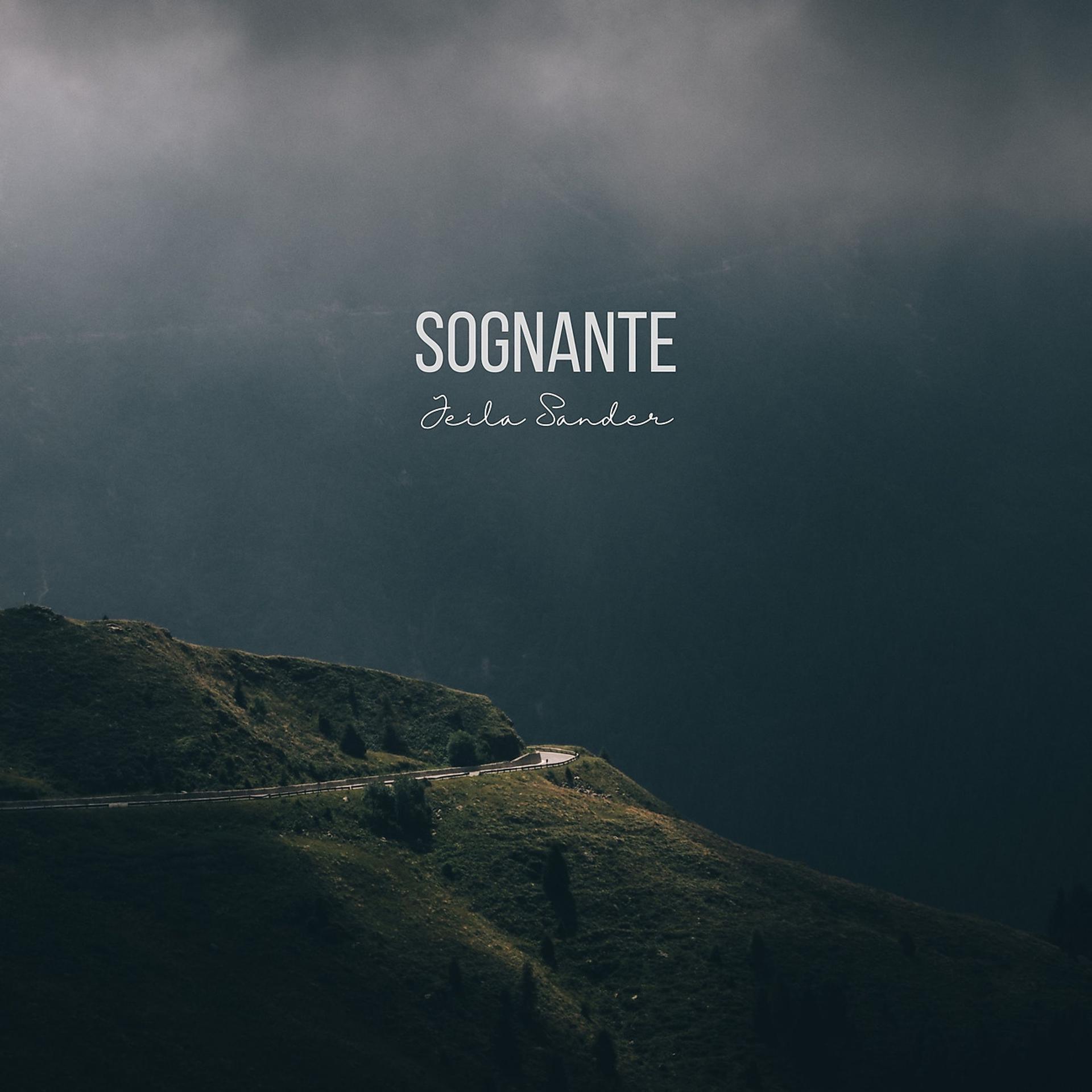 Постер альбома Sognante