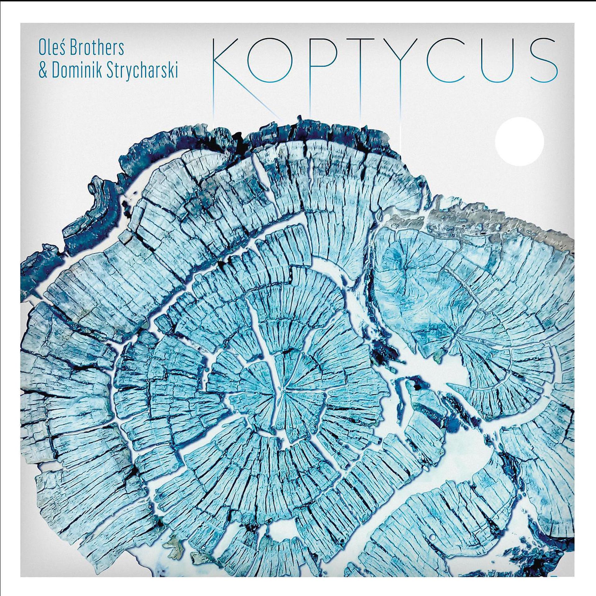 Постер альбома Koptykus