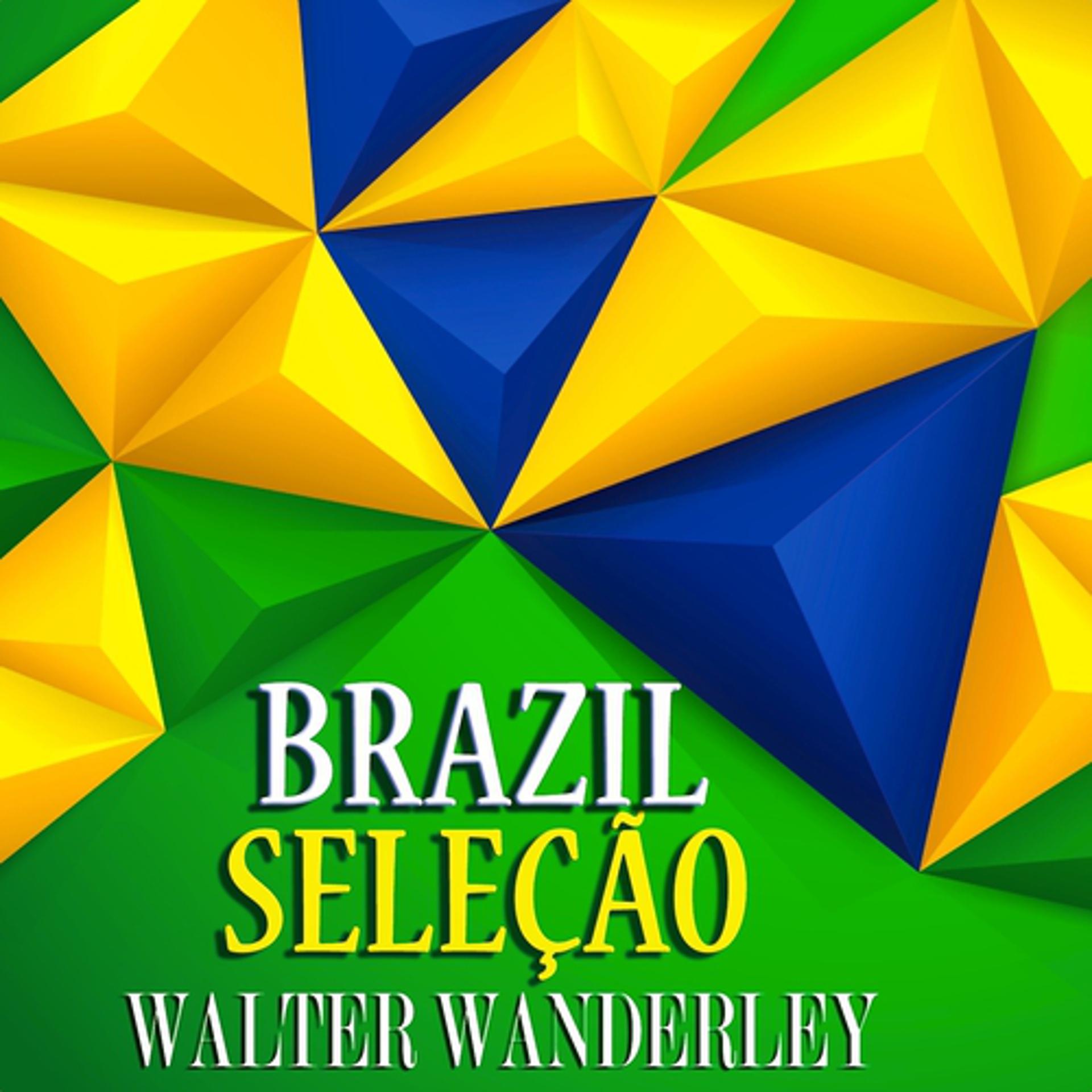 Постер альбома Brasil Seleção (Sound do Brasil)