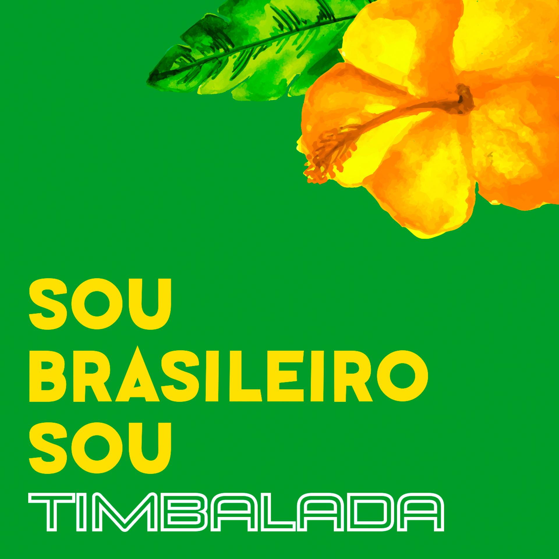 Постер альбома Sou Brasileiro Sou