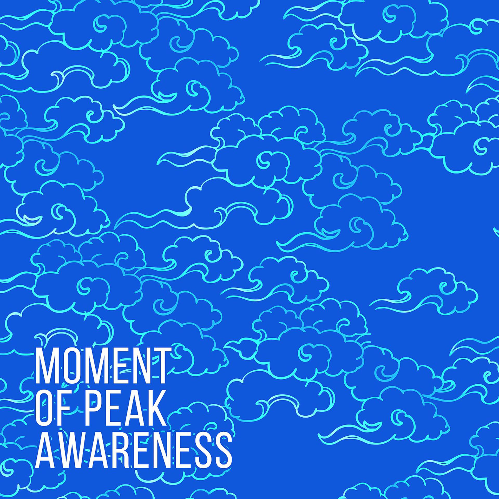 Постер альбома Moment of Peak Awareness