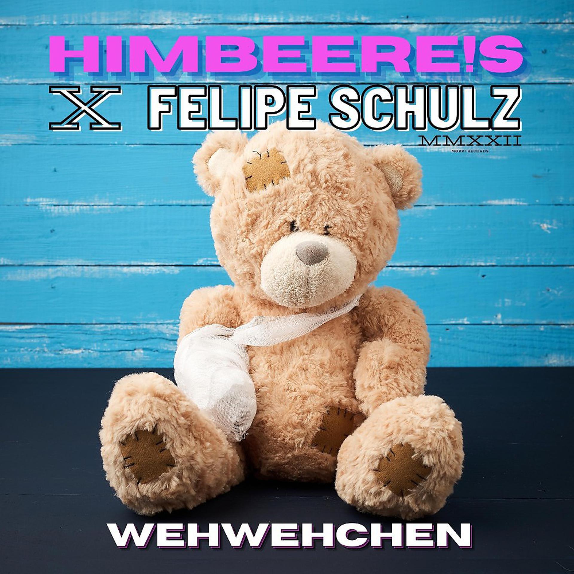 Постер альбома Wehwehchen