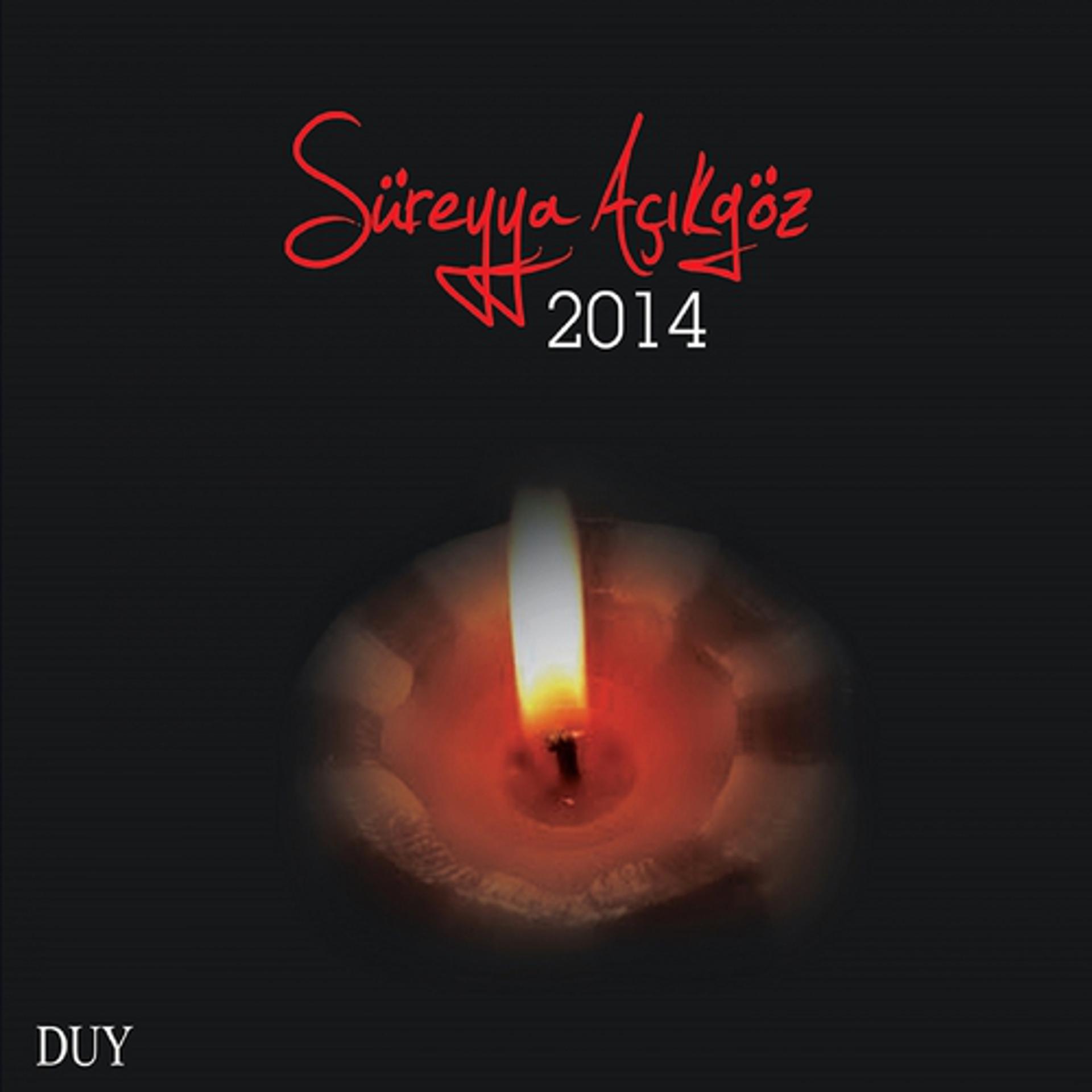 Постер альбома Süreyya Açıkgöz 2014