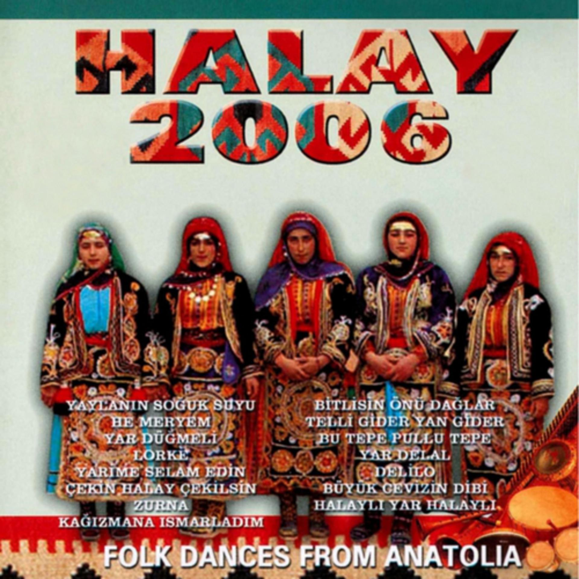 Постер альбома Süper Halay 2006