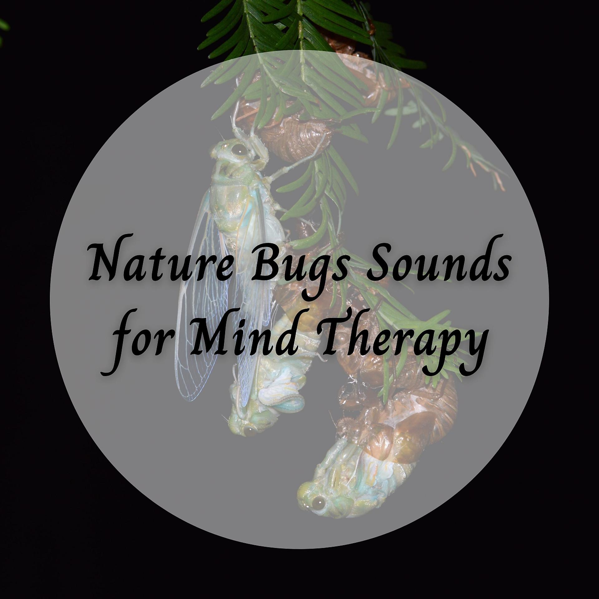 Постер альбома Nature Bugs Sounds for Mind Therapy