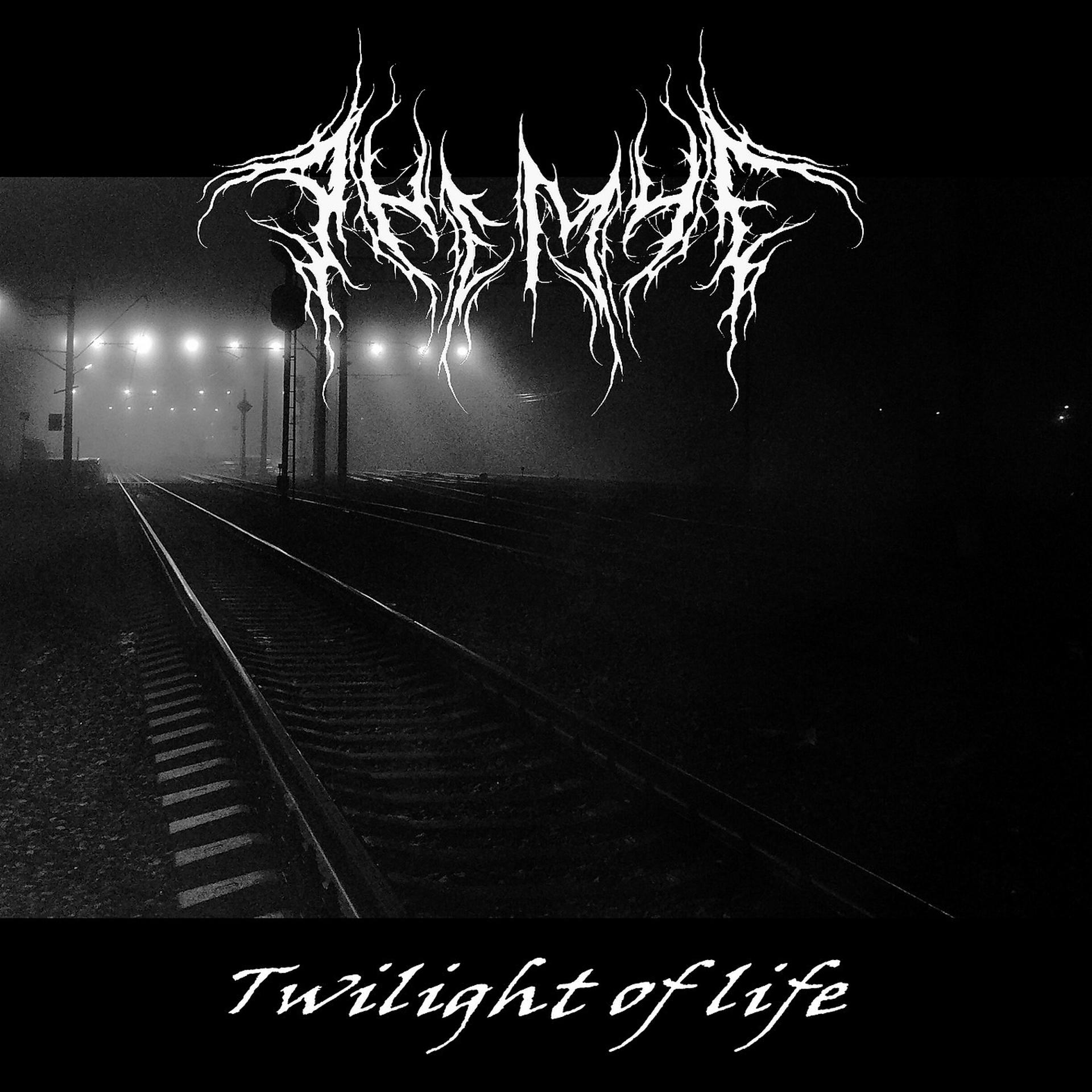 Постер альбома Twilight Of Life