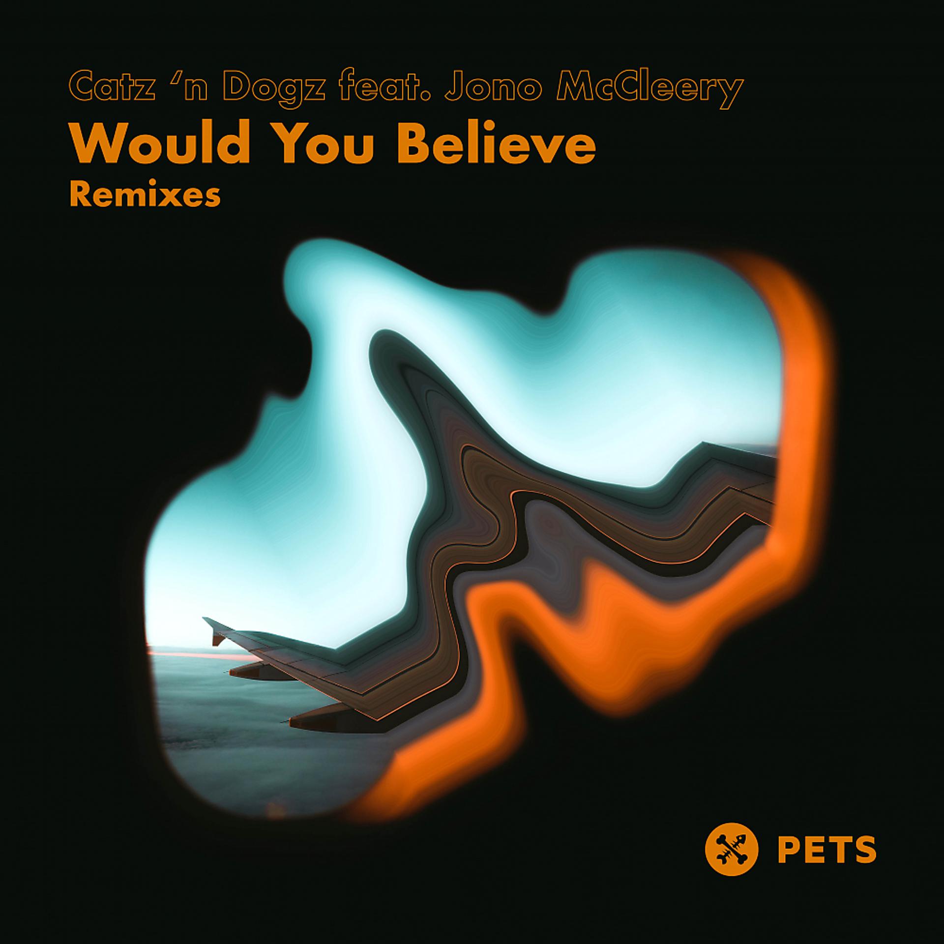 Постер альбома Would You Believe Remixes