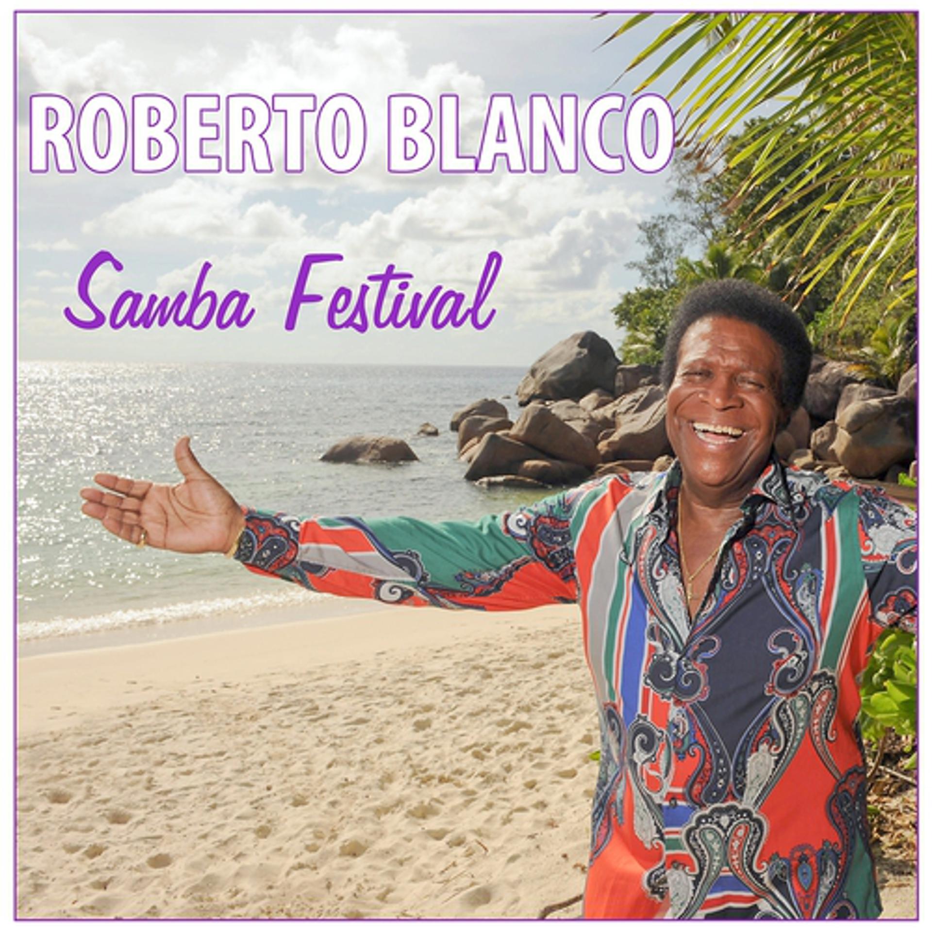 Постер альбома Samba Festival