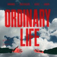 Постер альбома Ordinary Life