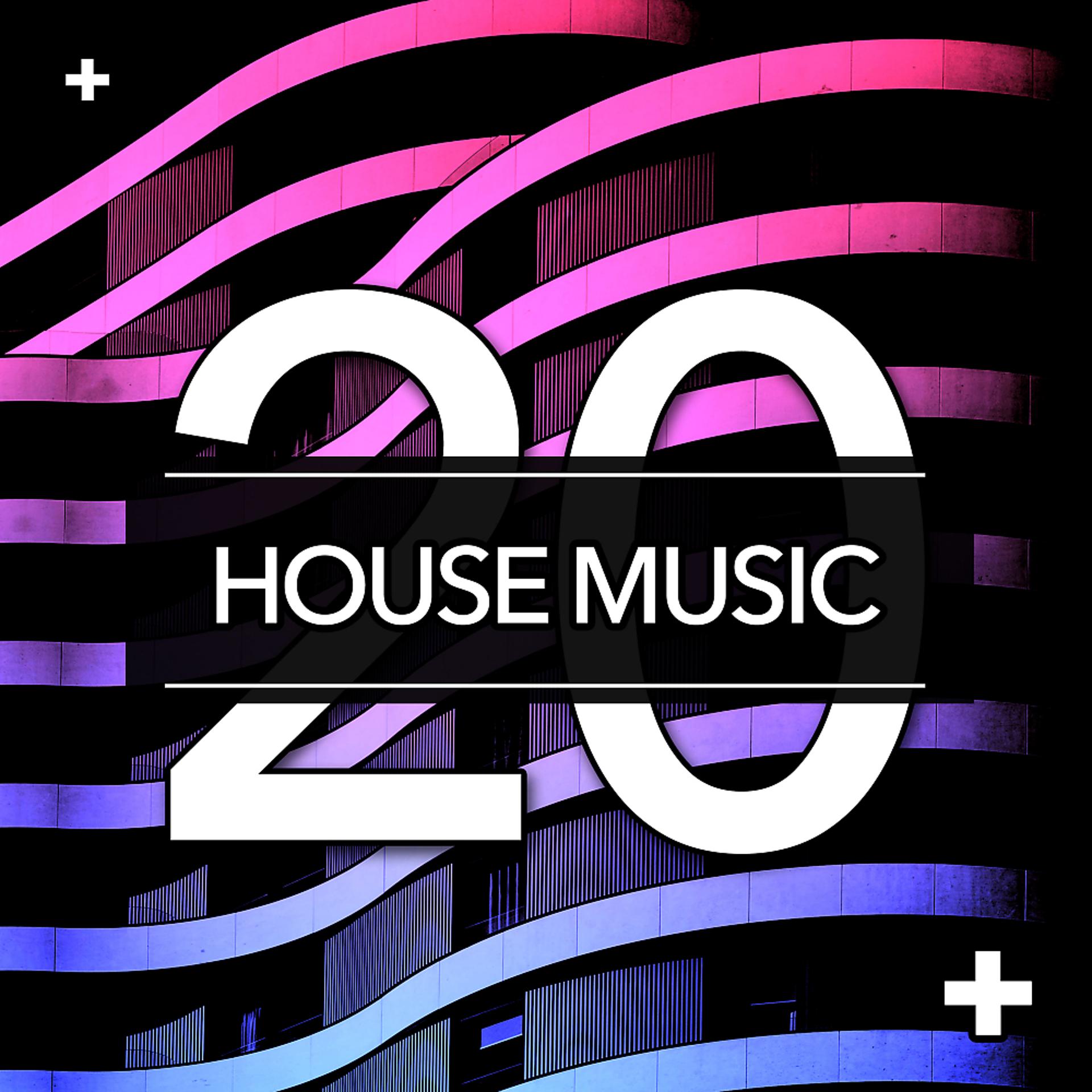 Постер альбома 20 House Music