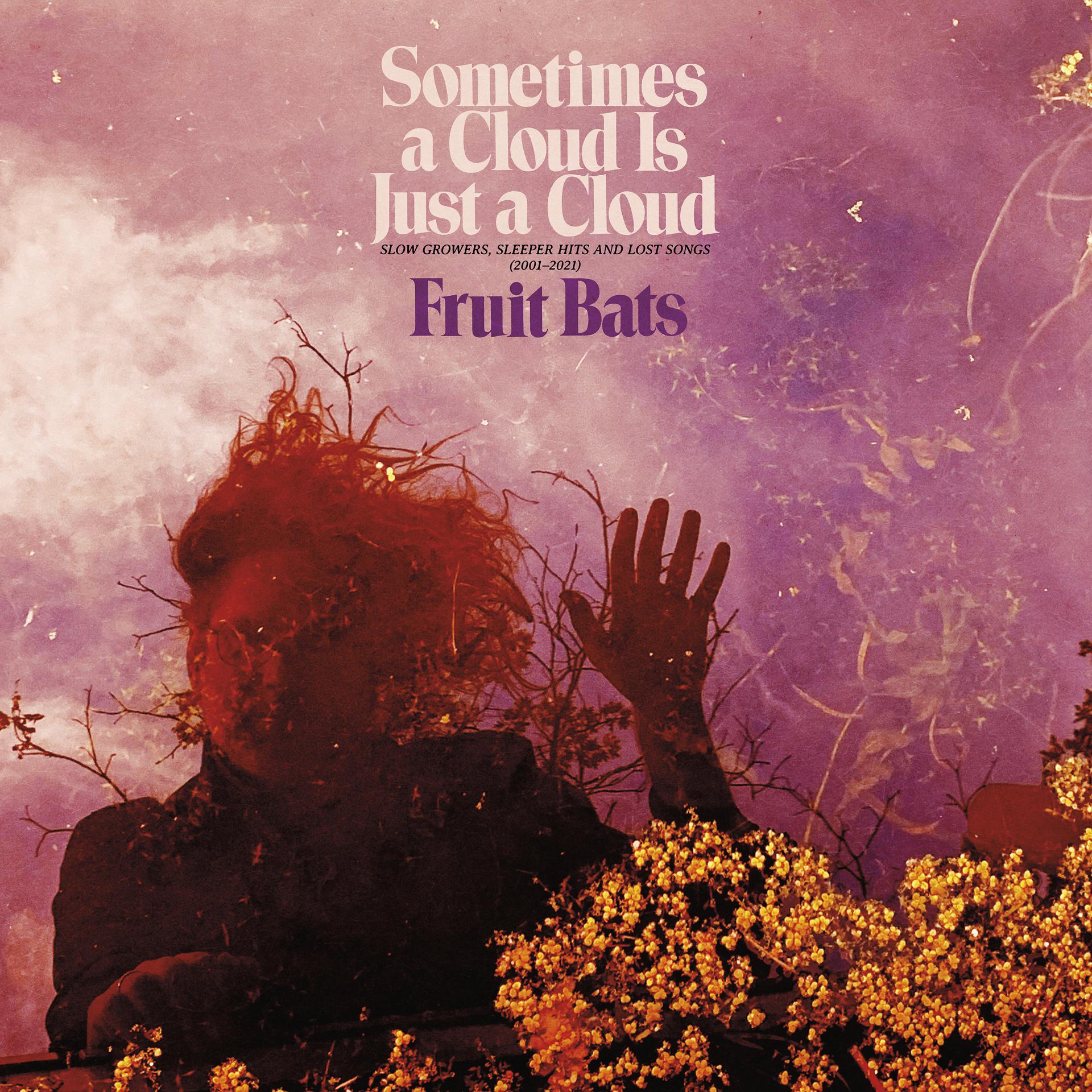 Постер альбома Sometimes a Cloud Is Just a Cloud: Slow Growers, Sleeper Hits and Lost Songs (2001–2021)
