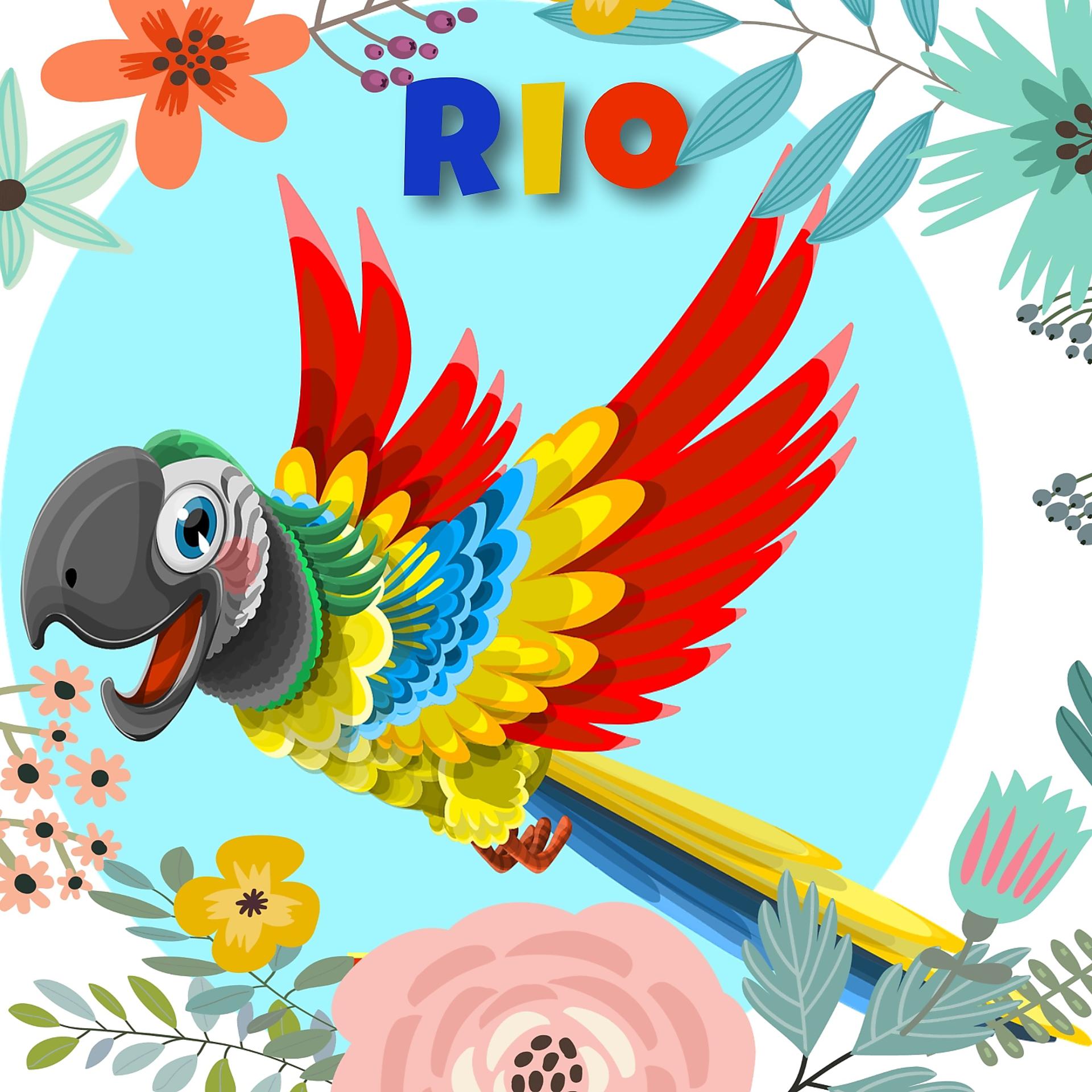 Постер альбома Carnival in Rio