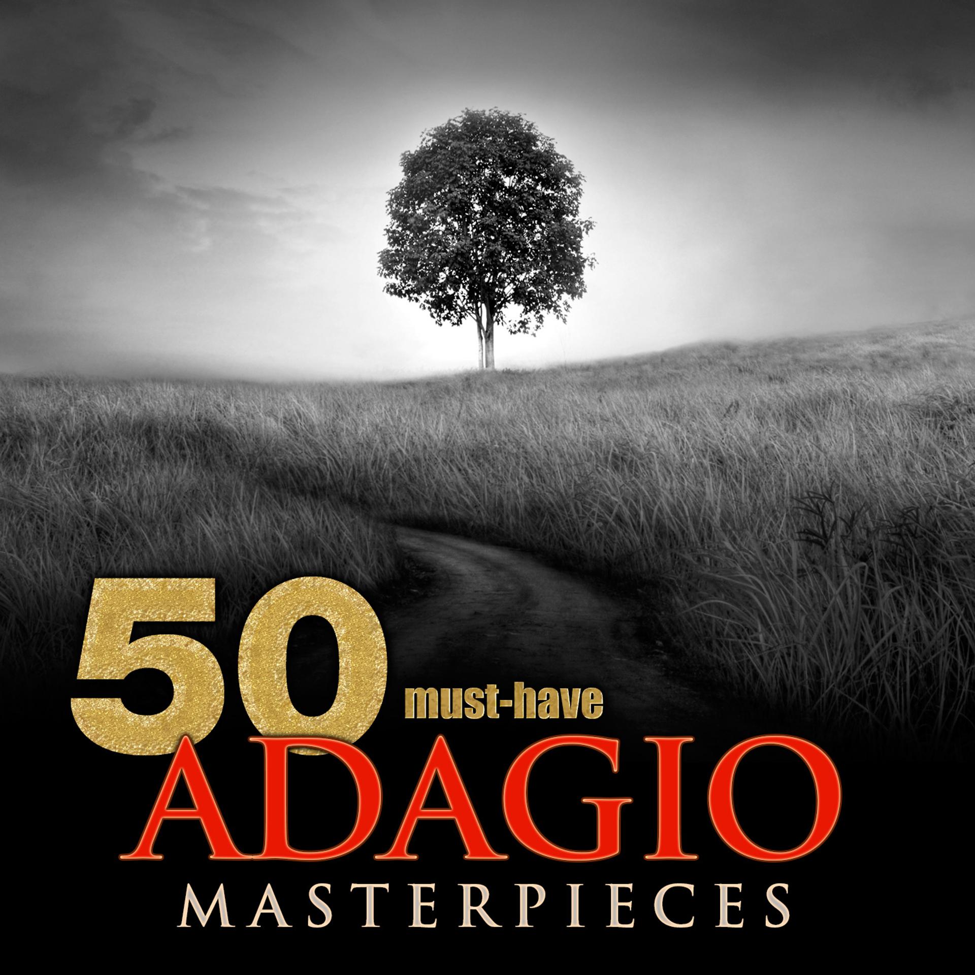 Постер альбома 50 Must-Have Adagio Masterpieces