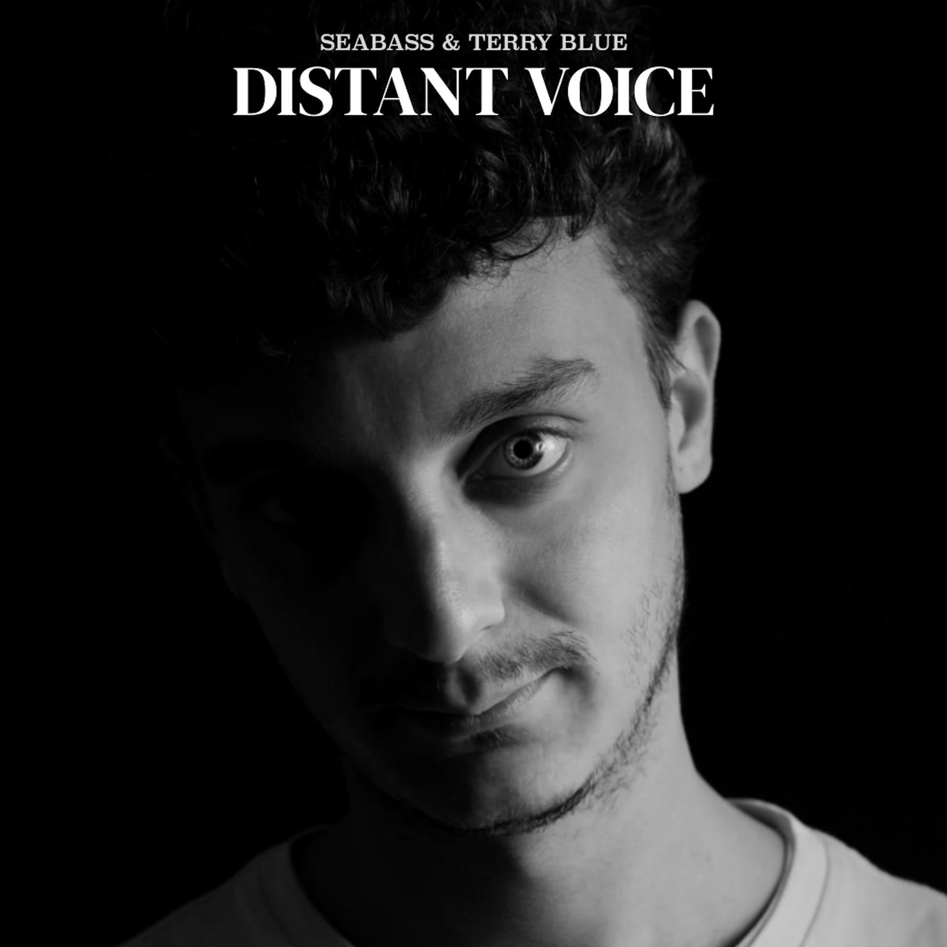 Постер альбома Distant Voice