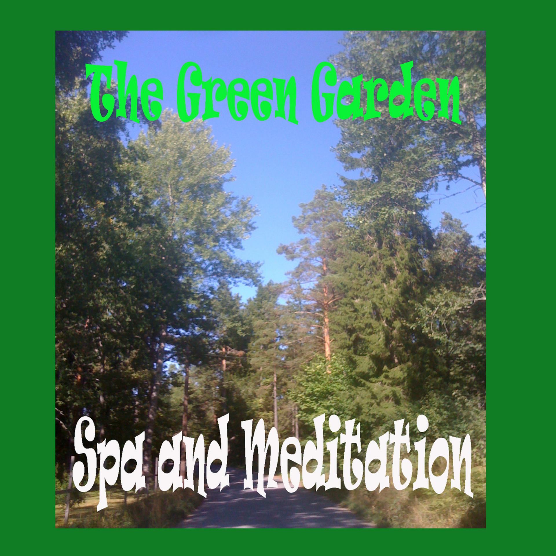 Постер альбома Spa and Meditation
