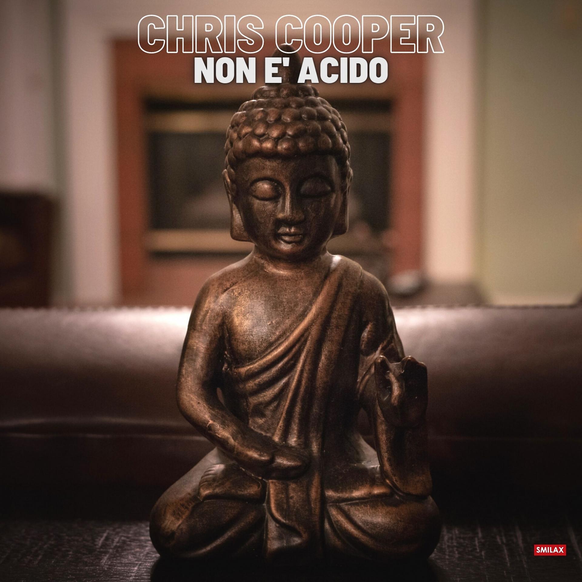 Постер альбома Non è acido