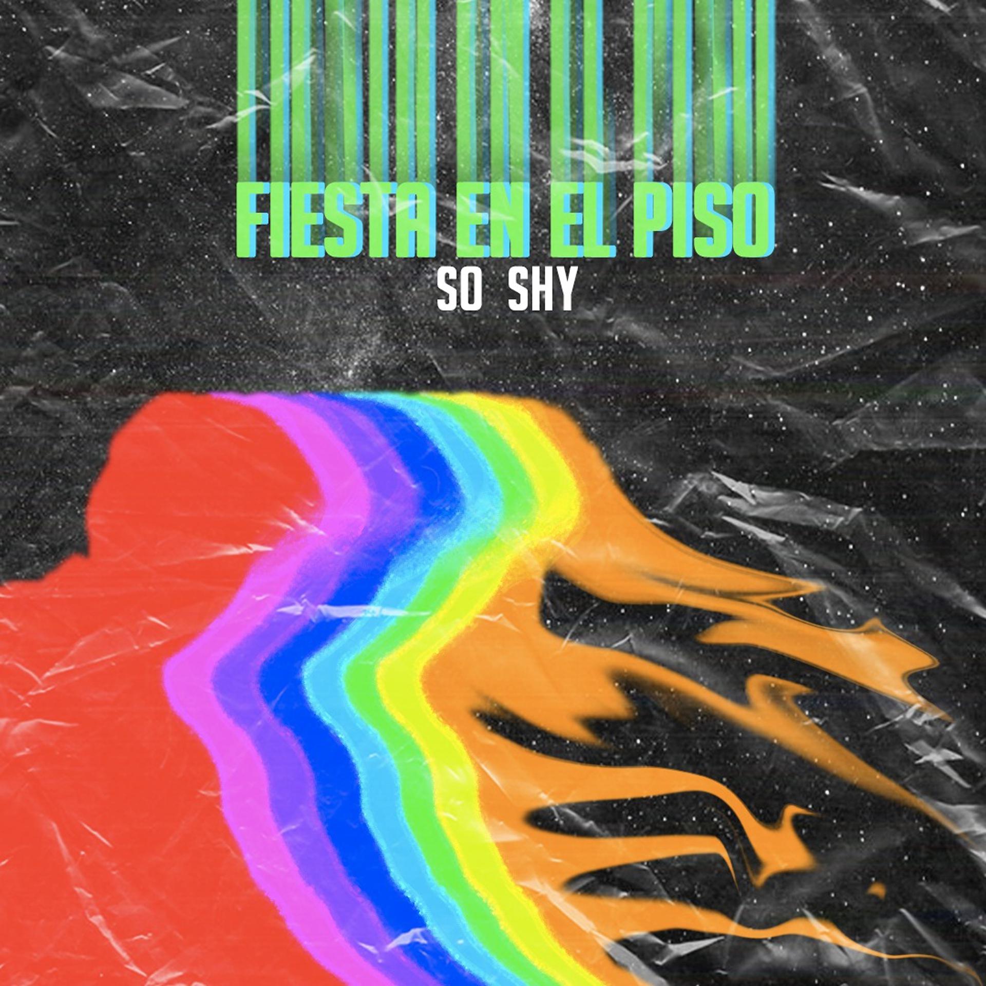 Постер альбома Fiesta en el piso