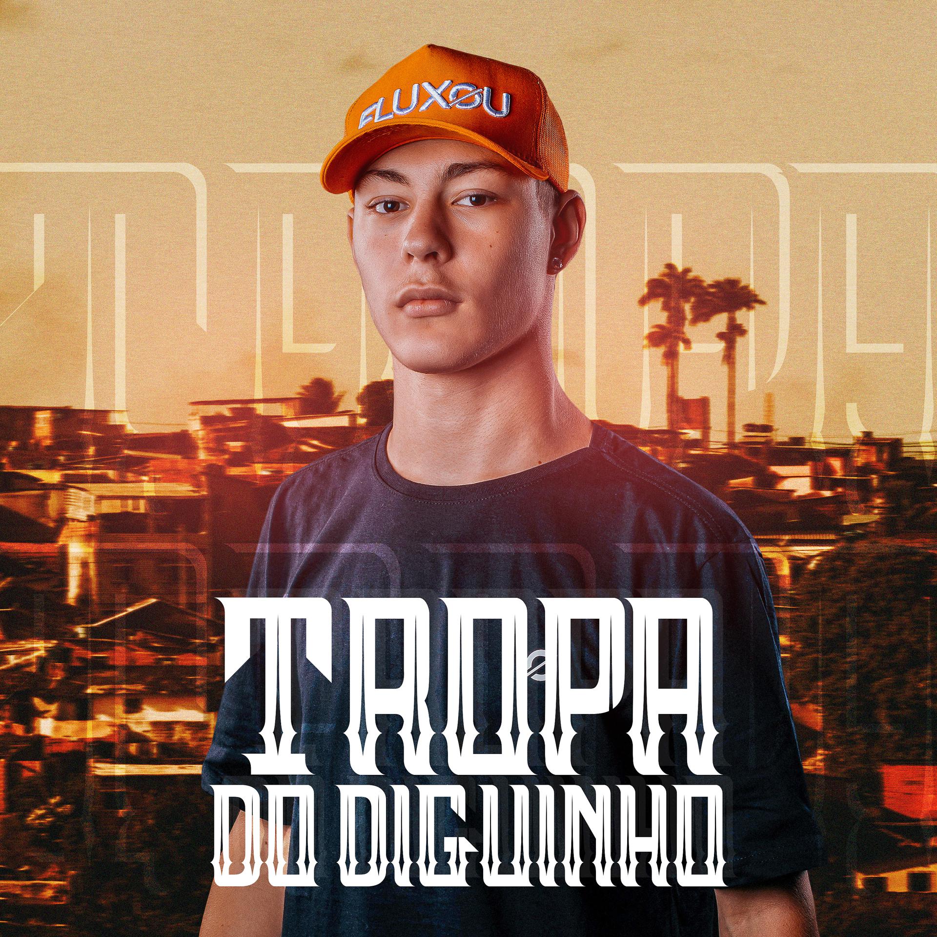 Постер альбома Mega Funk Tropa do Diguinho