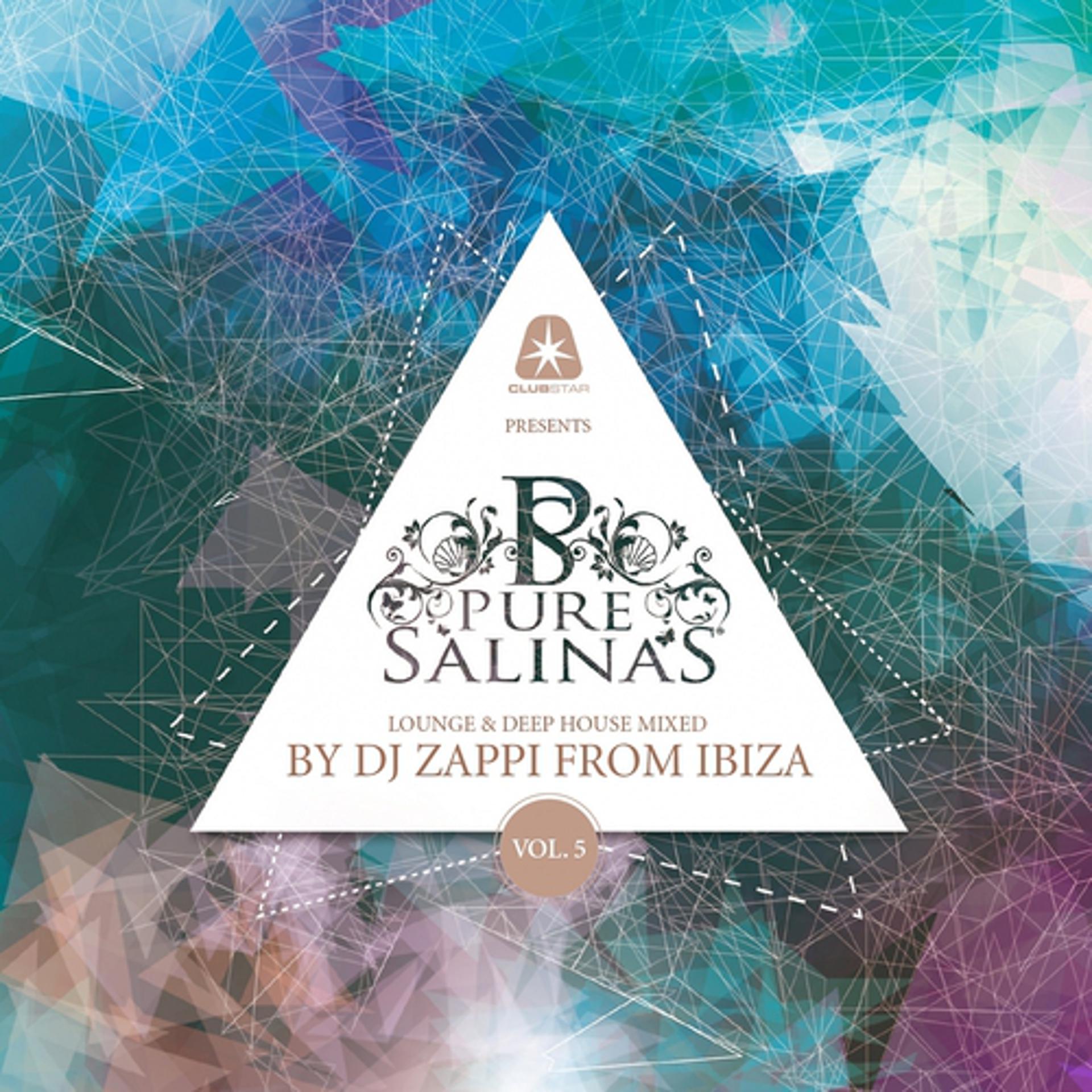 Постер альбома Pure Salinas, Vol. 5 (Compiled by DJ Zappi)