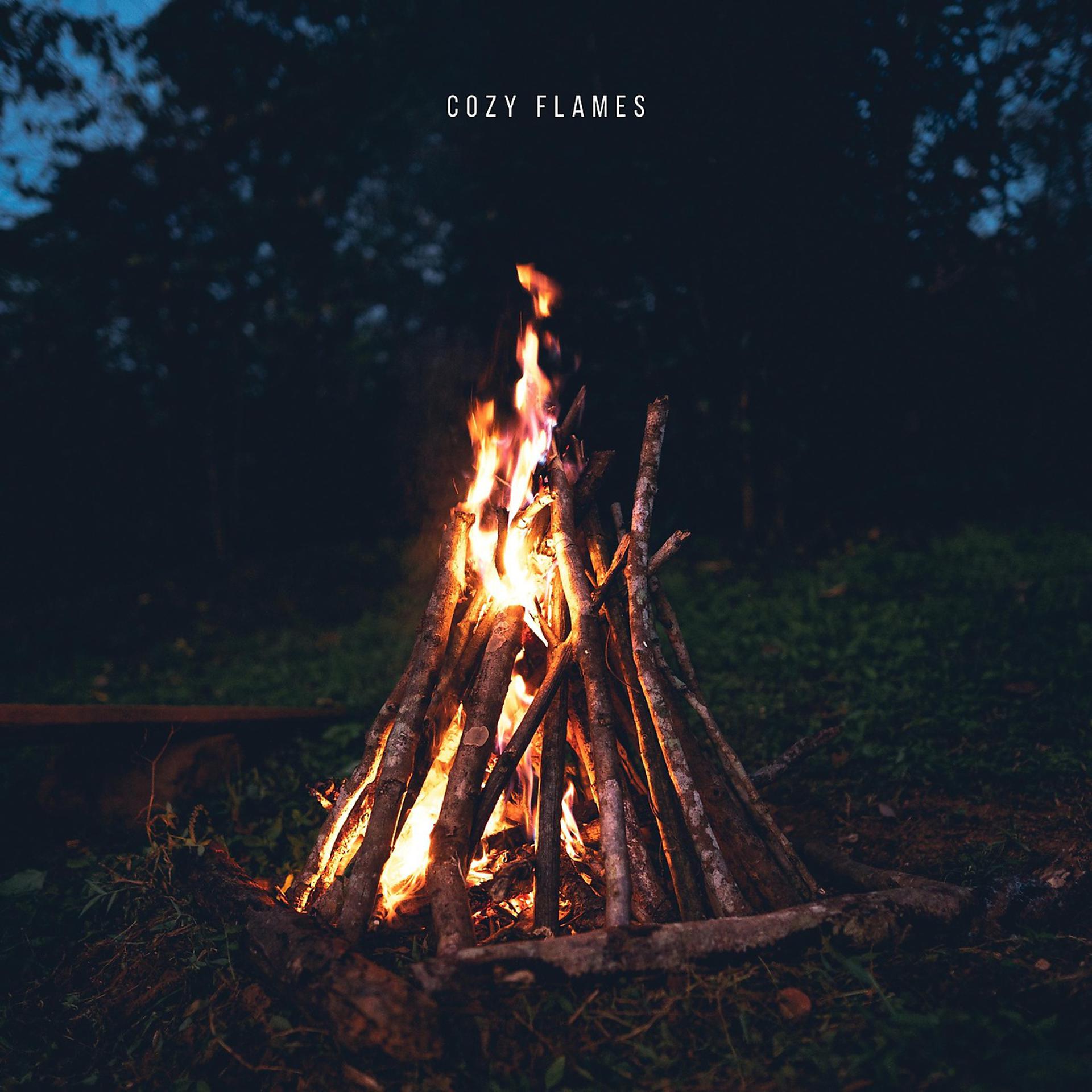 Постер альбома Cozy Flames