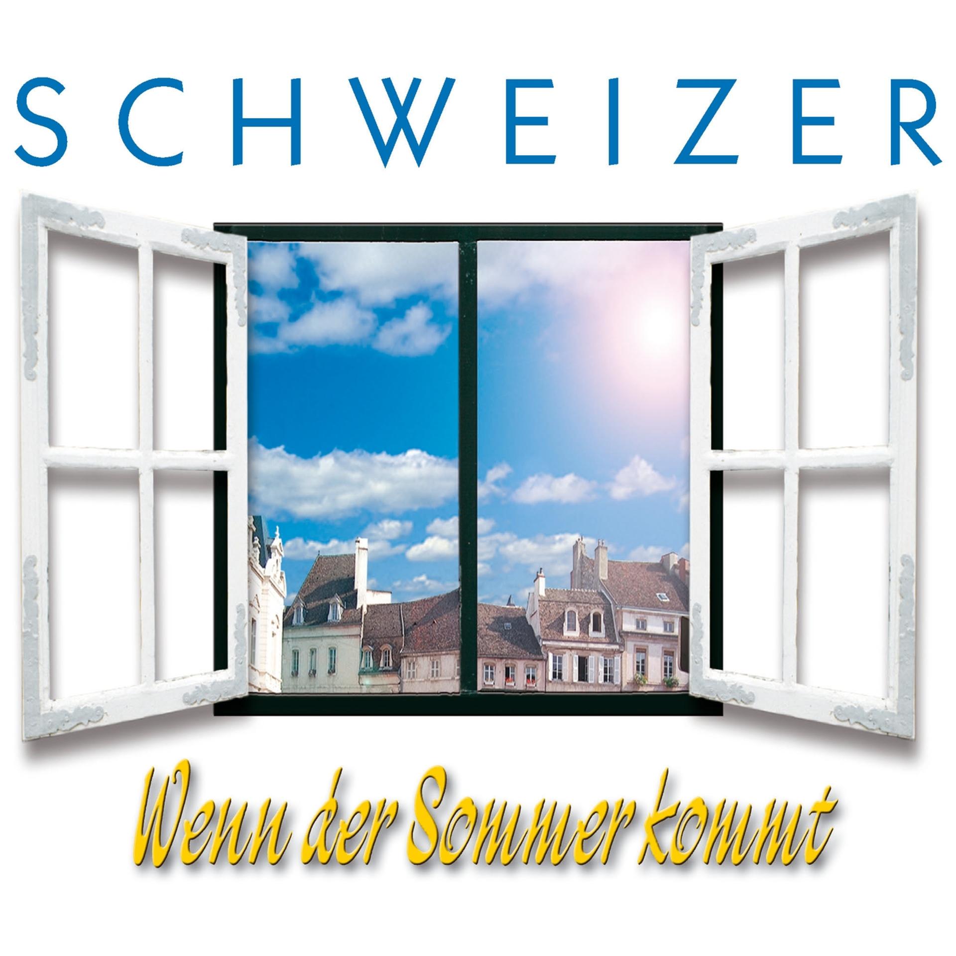 Постер альбома Wenn der Sommer kommt