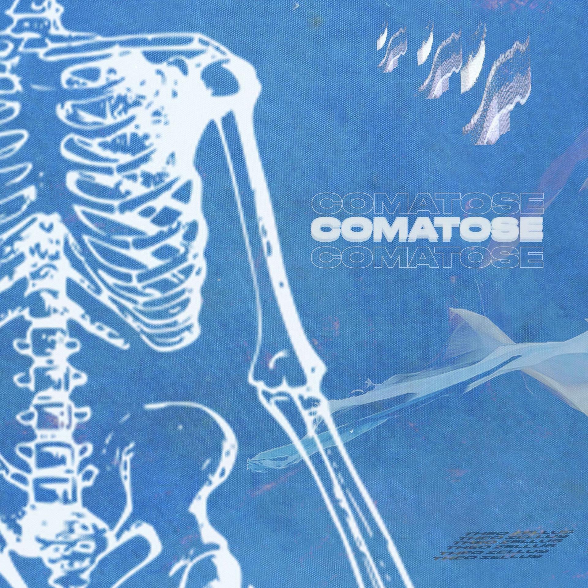 Постер альбома Comatose