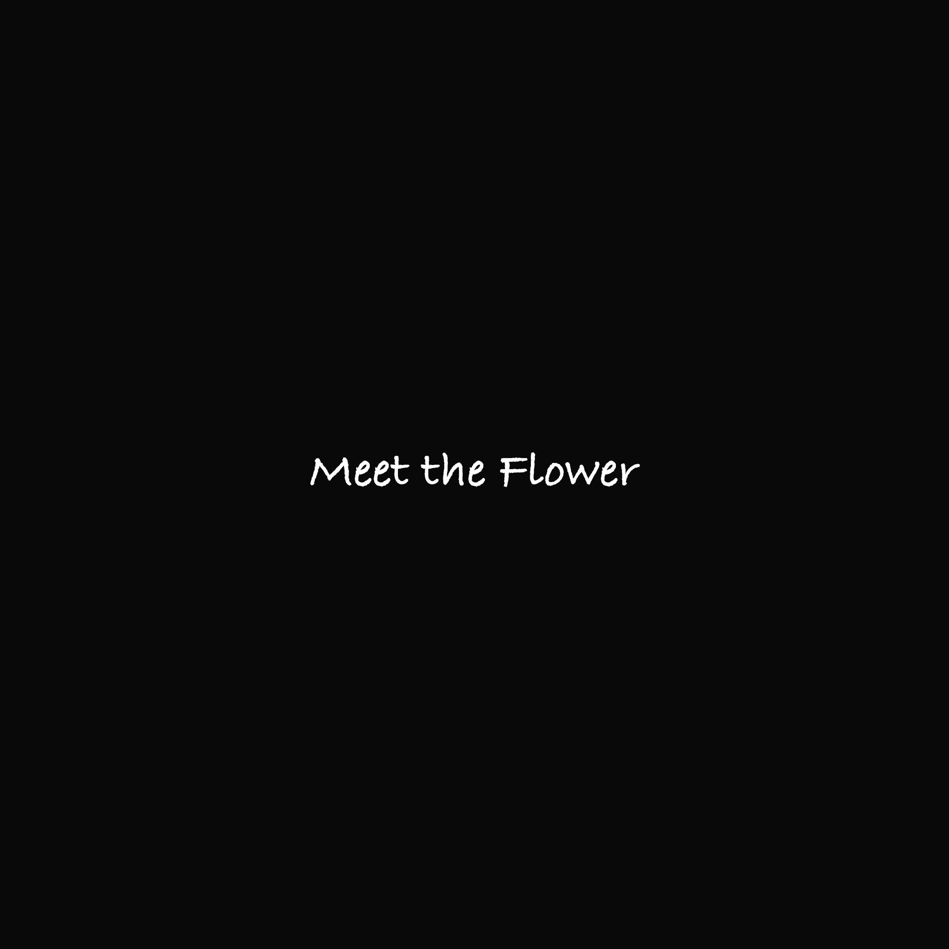 Постер альбома Meet the Flower