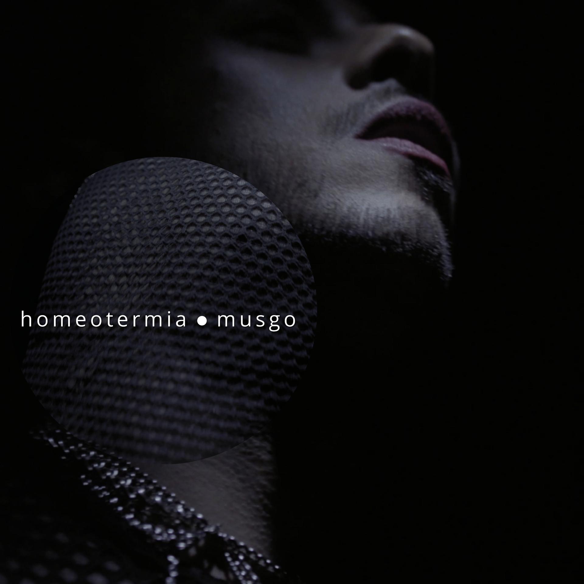 Постер альбома Homeotermia