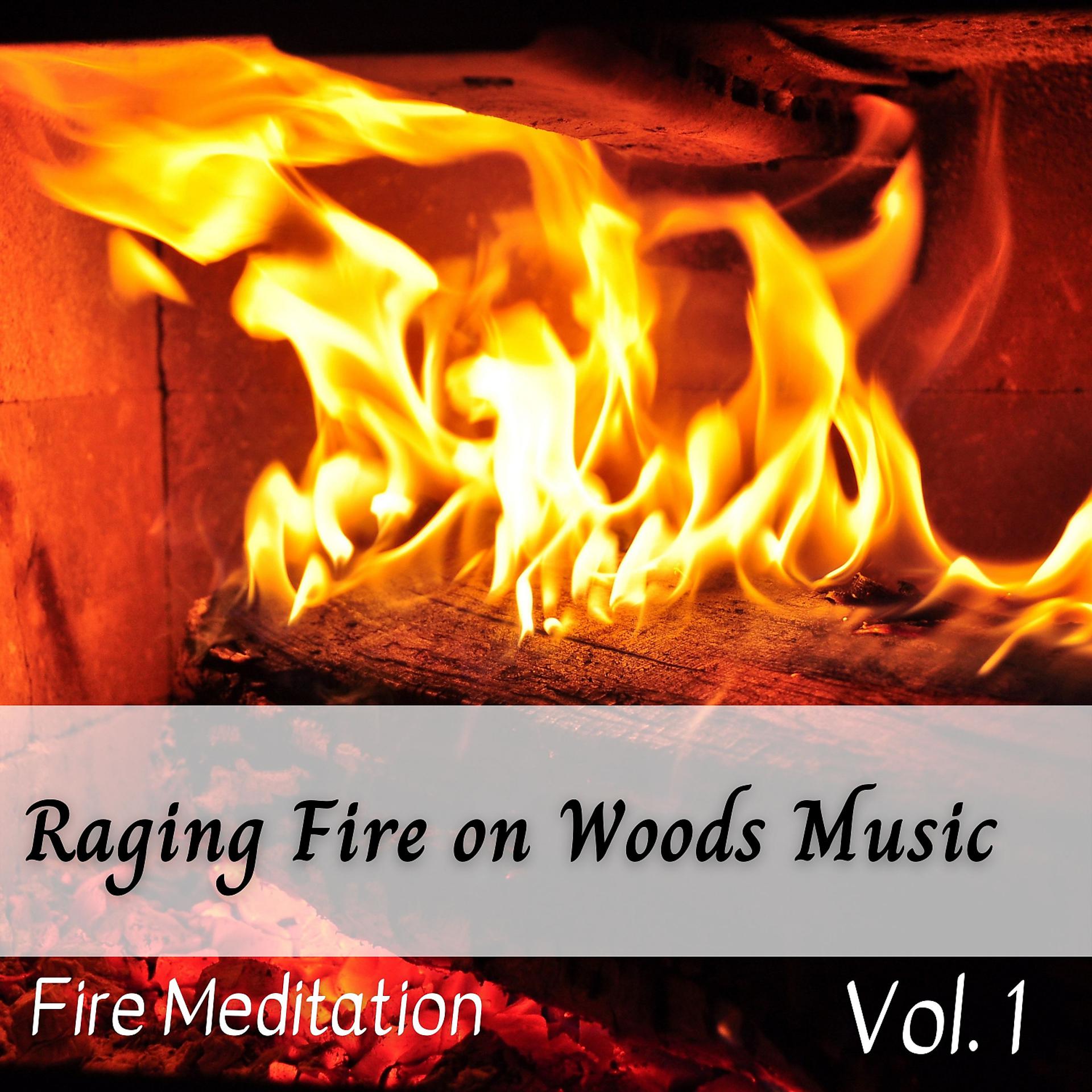 Постер альбома Fire Meditation: Raging Fire on Woods Music Vol. 1