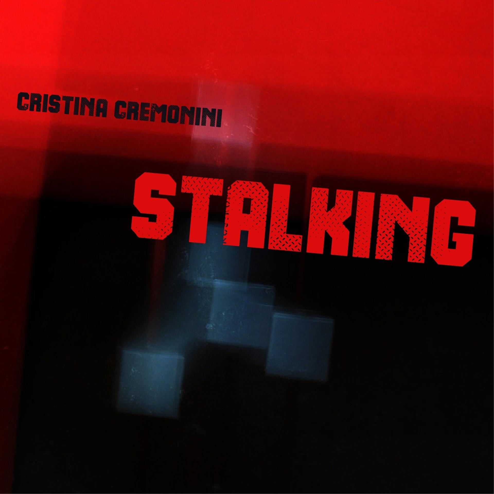 Постер альбома Stalking
