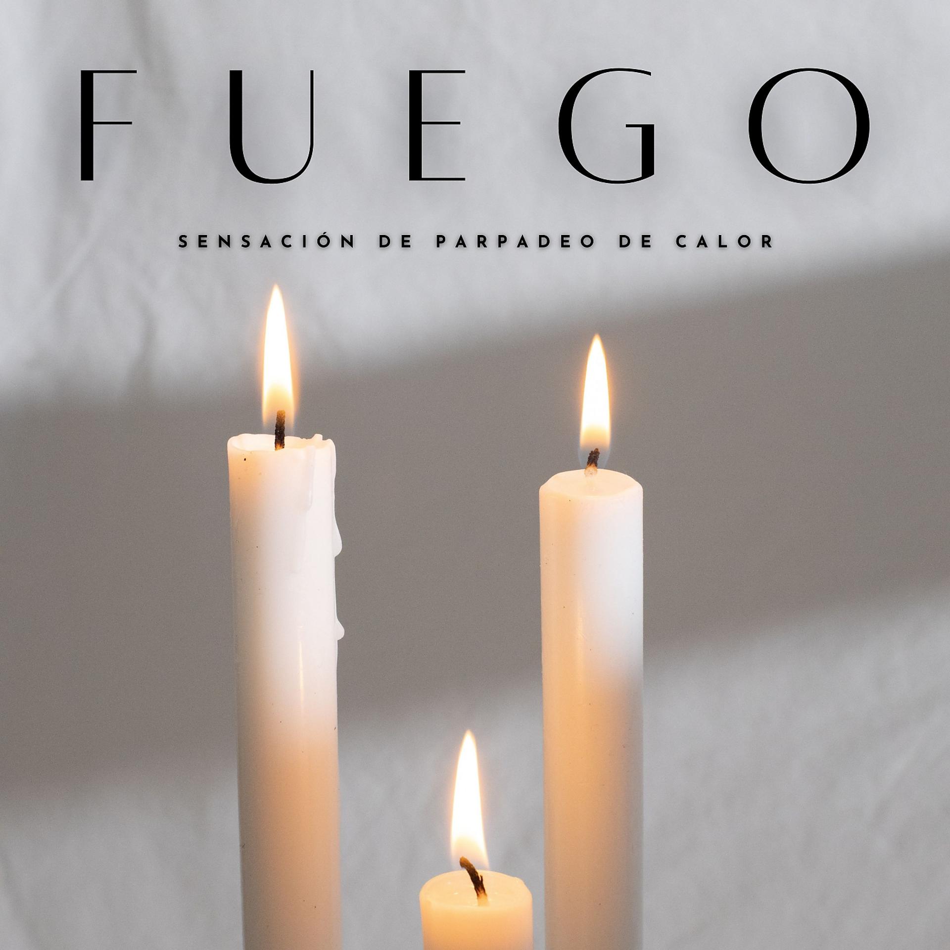 Постер альбома Fuego: Sensación De Parpadeo De Calor