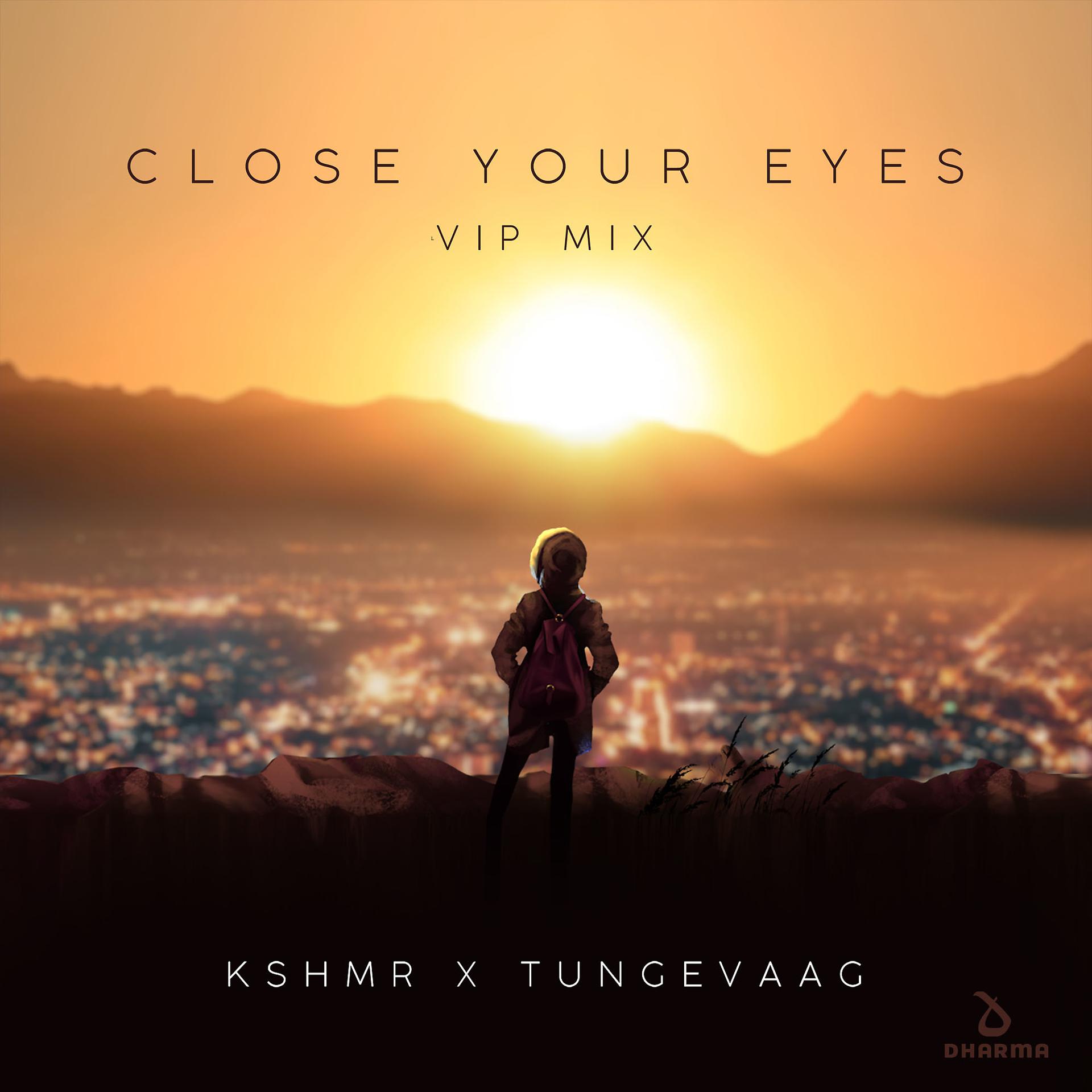 Постер альбома Close Your Eyes (VIP Mix)