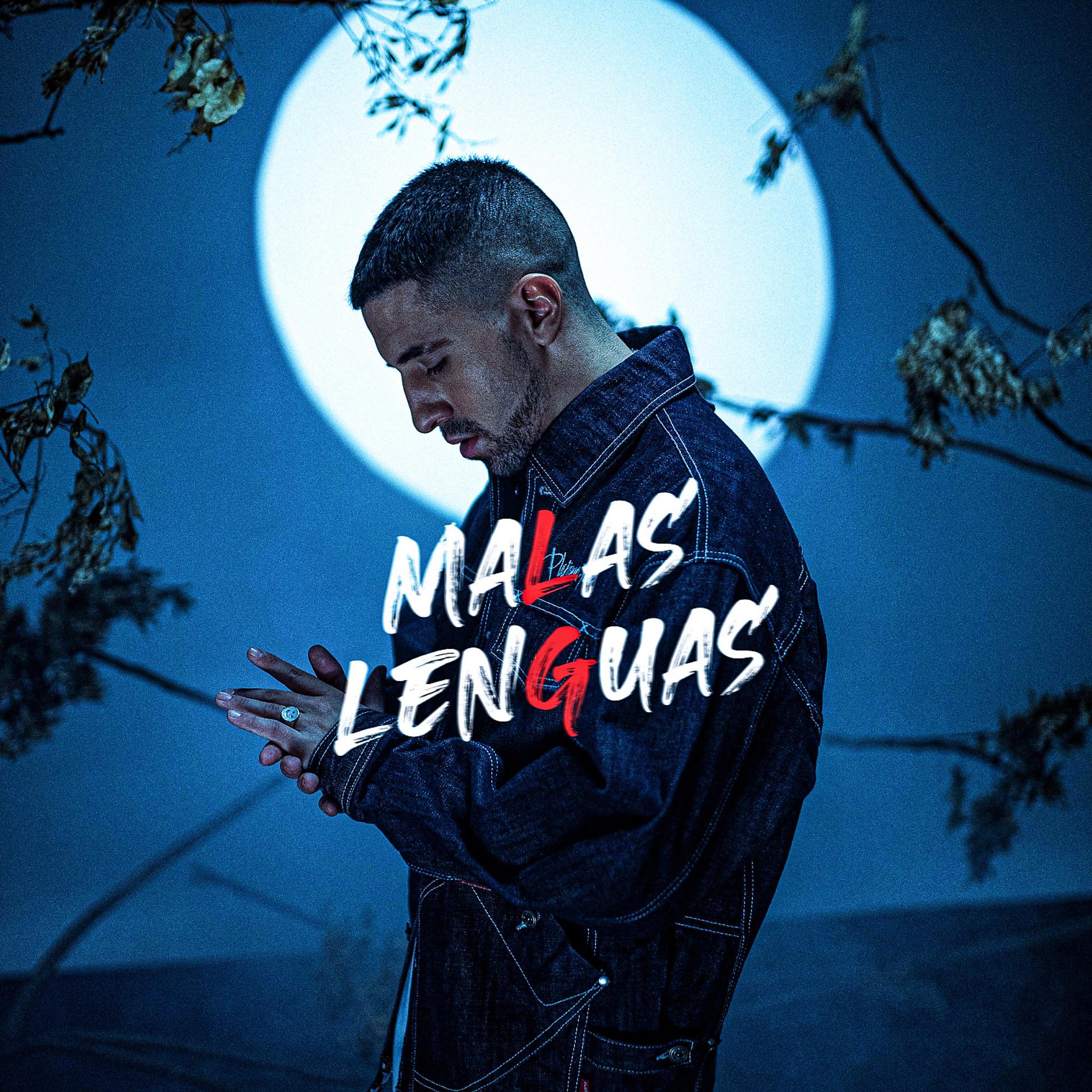 Постер альбома Malas Lenguas