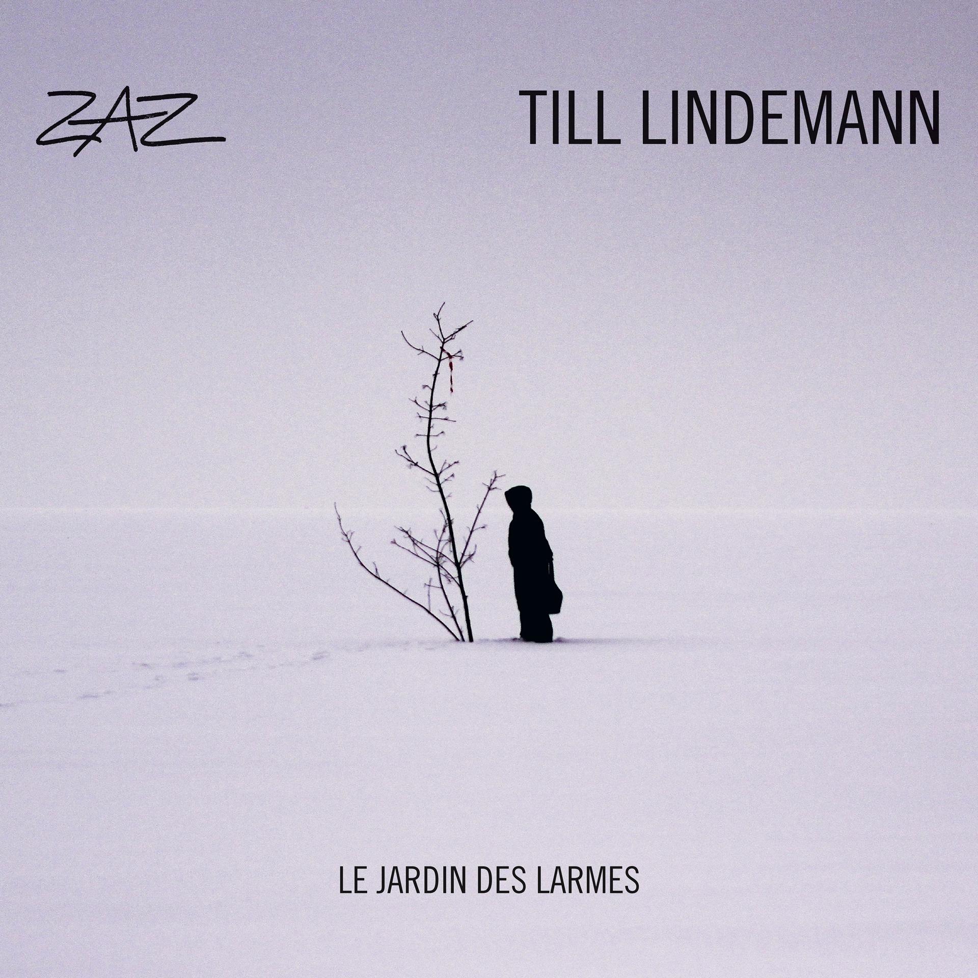 Постер альбома Le jardin des larmes (feat. Till Lindemann)