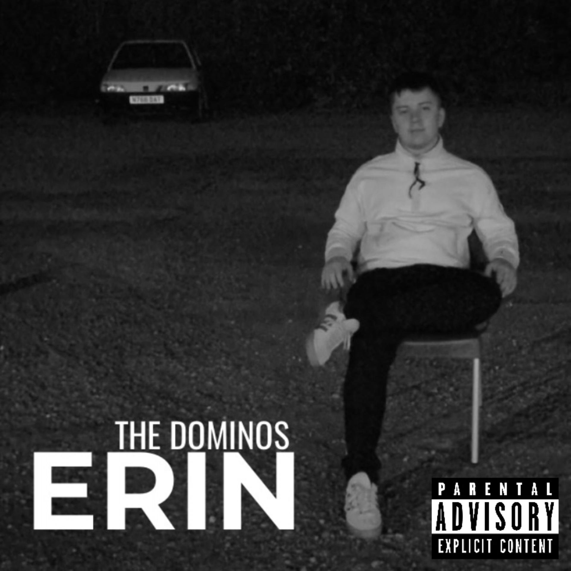 Постер альбома Erin