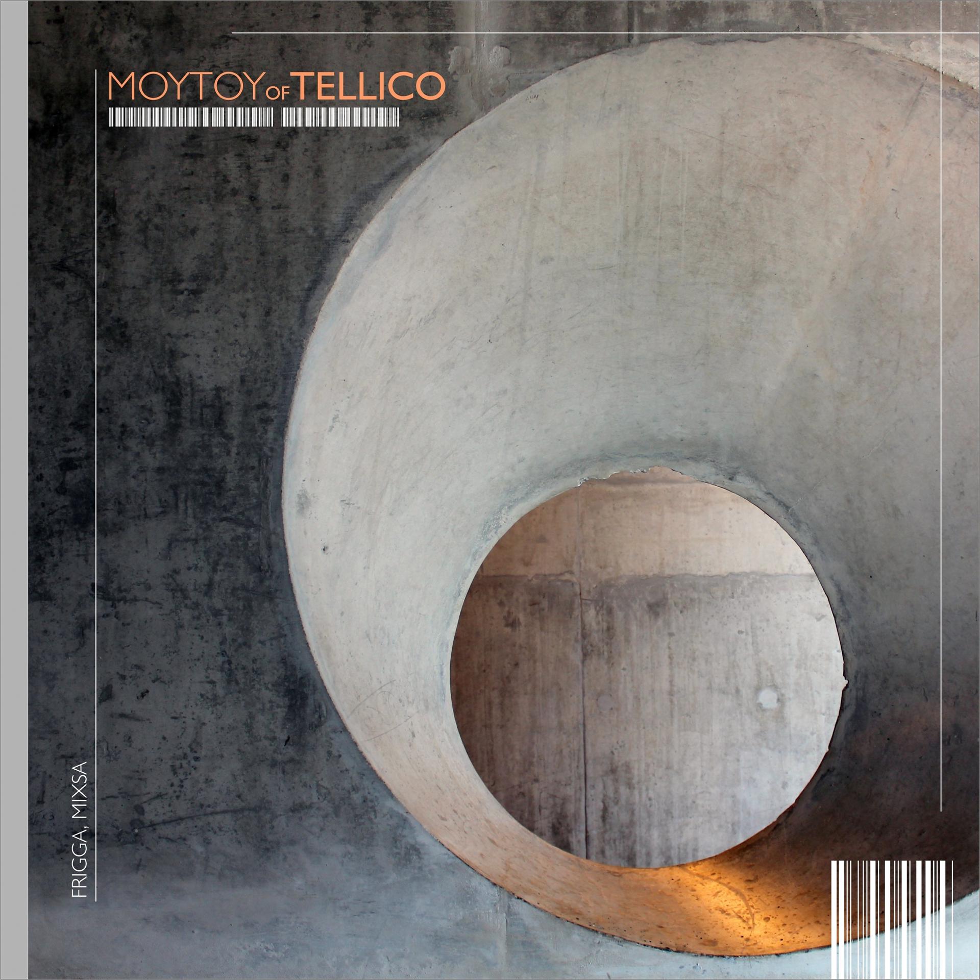 Постер альбома Moytoy of Tellico