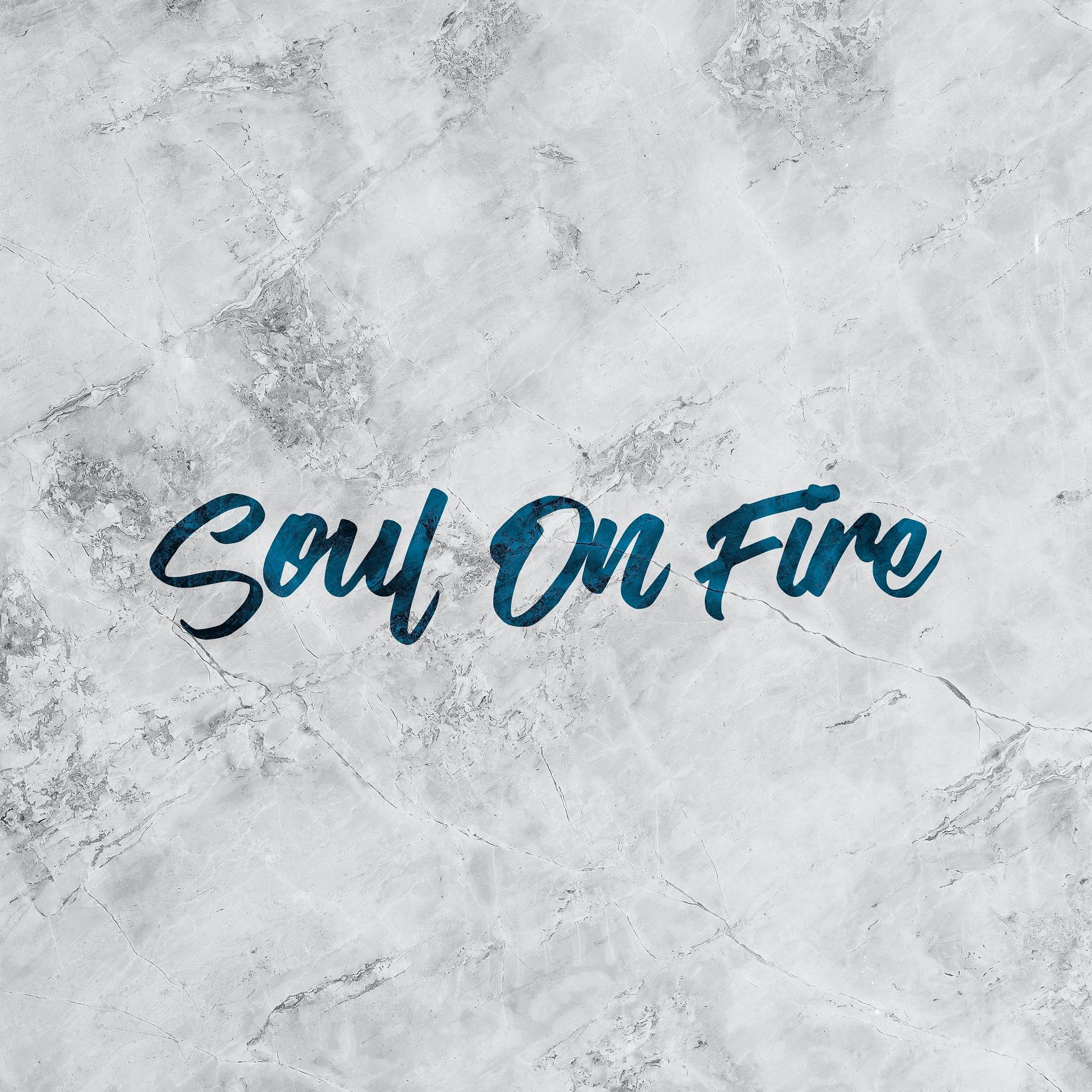 Постер альбома Soul On Fire