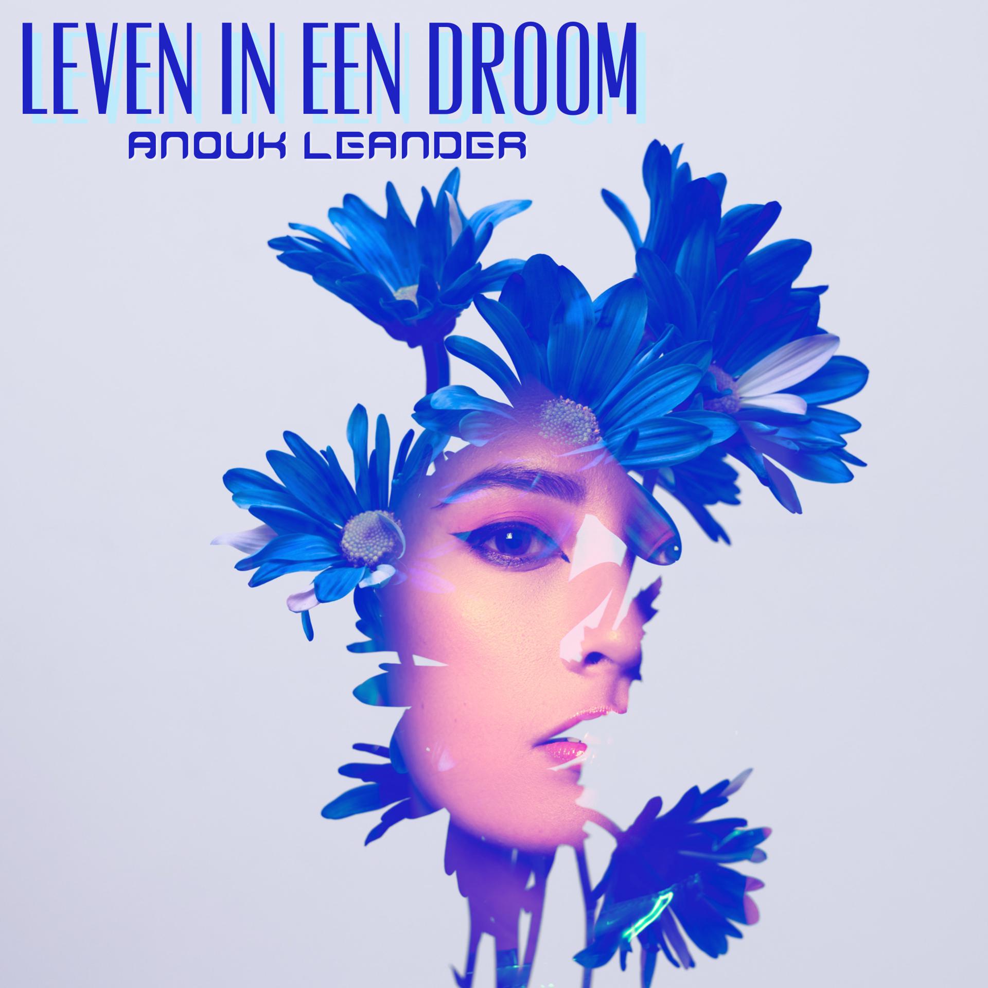 Постер альбома Leven In Een Droom