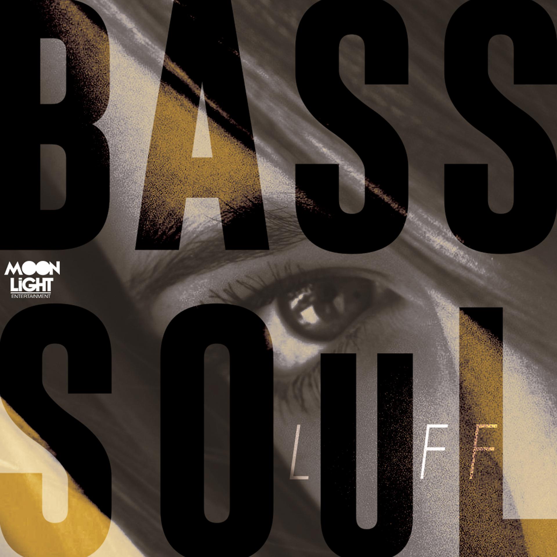 Постер альбома Bass Soul