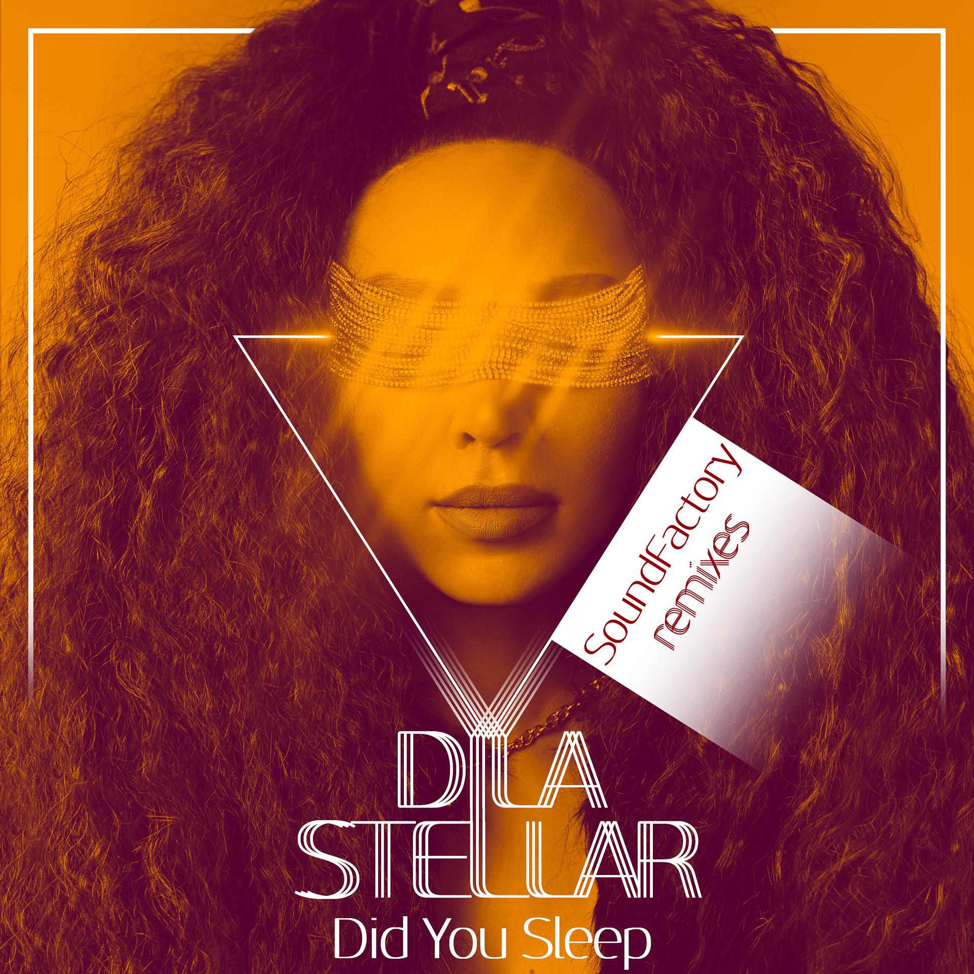 Постер альбома Did You Sleep (SoundFactory Remixes)