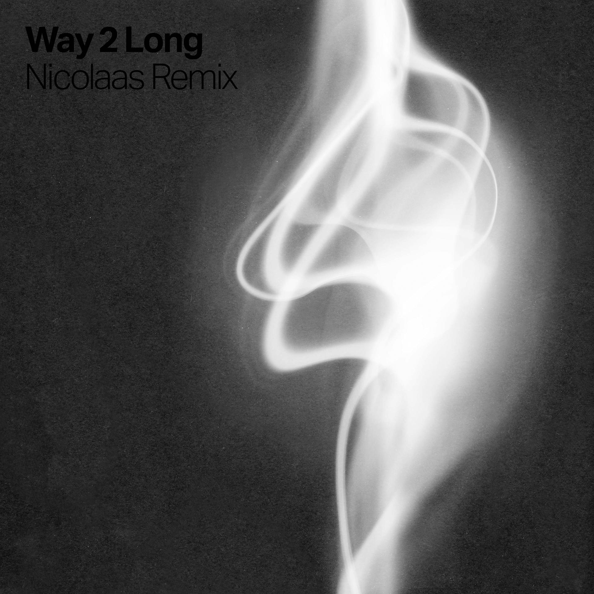 Постер альбома Way 2 Long (feat. Jayd Ink) [Nicolaas Remix]