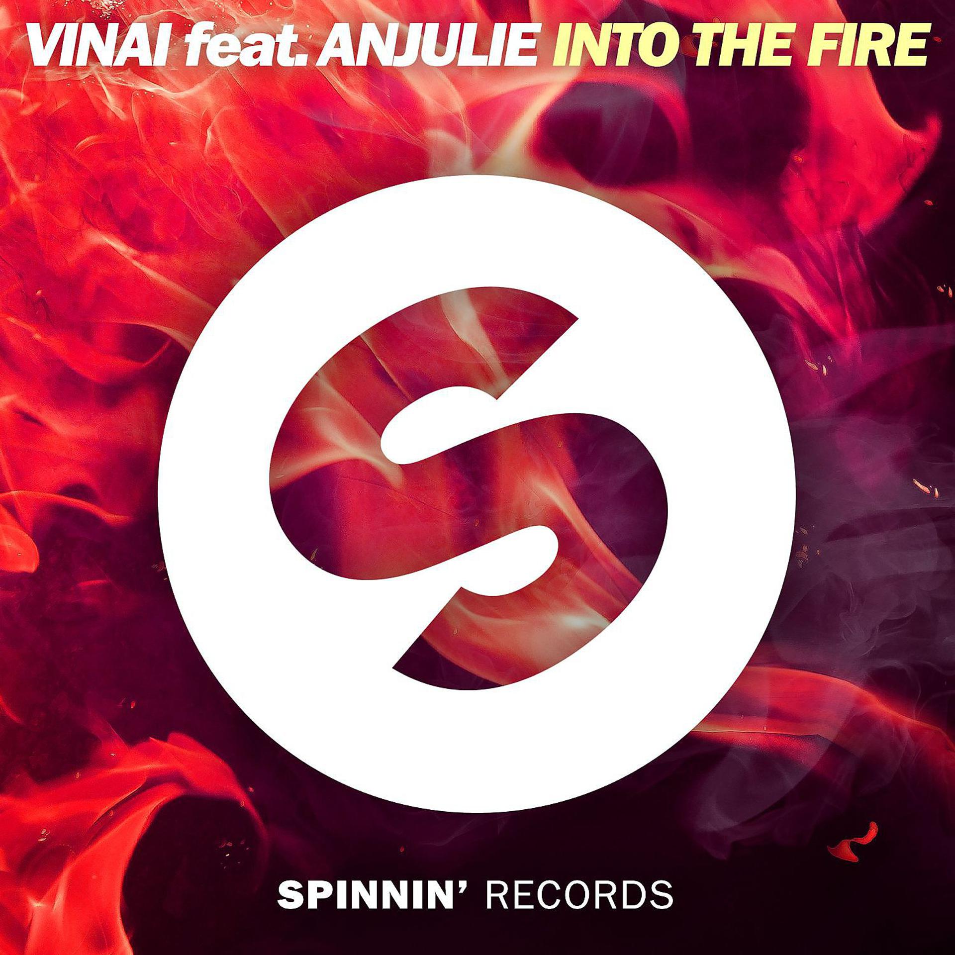 Постер альбома Into The Fire (feat. Anjulie)