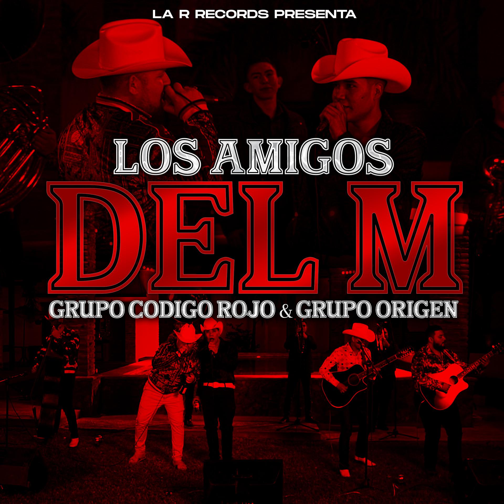 Постер альбома Los Amigos del M (En Vivo)