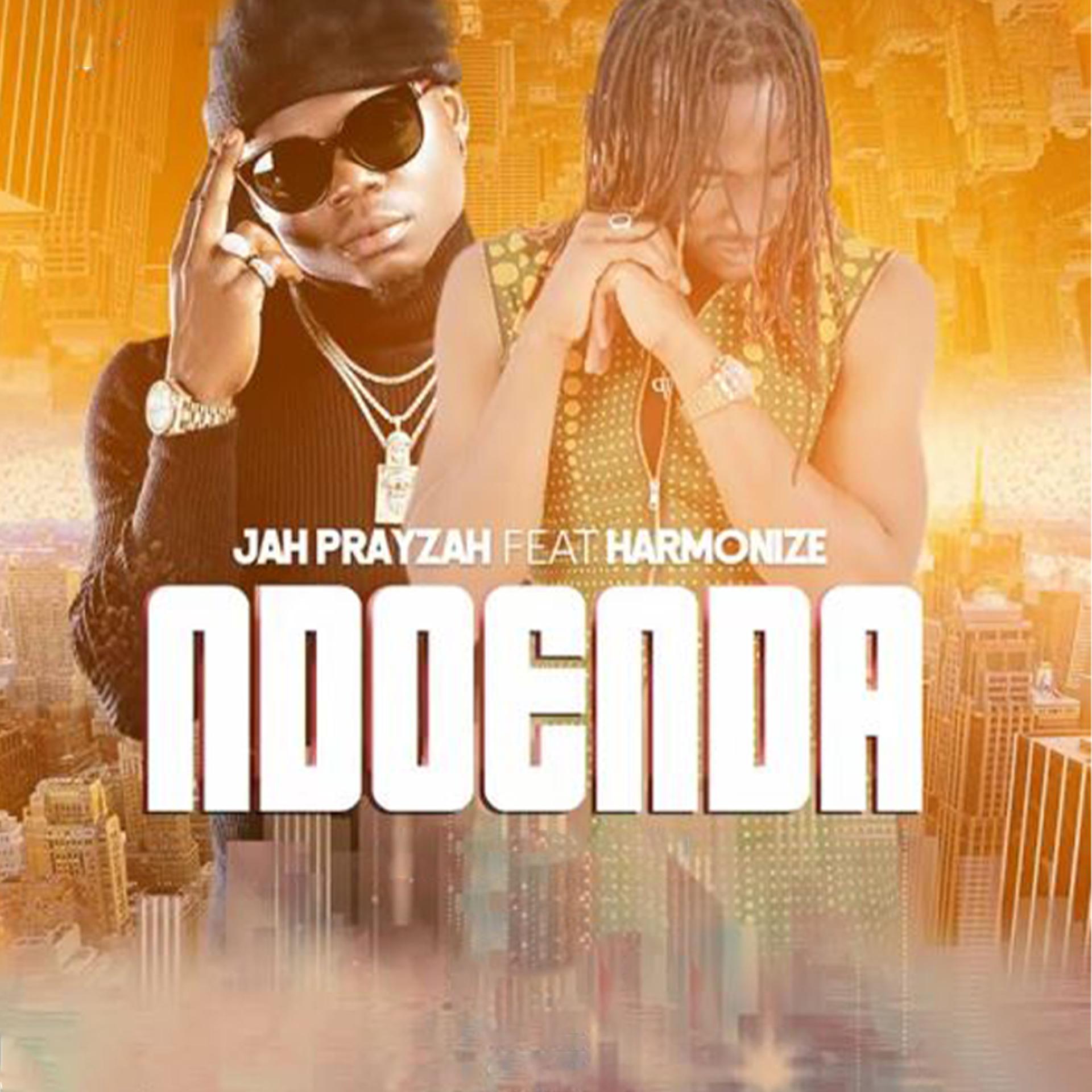 Постер альбома Ndoenda (feat. Harmonize)